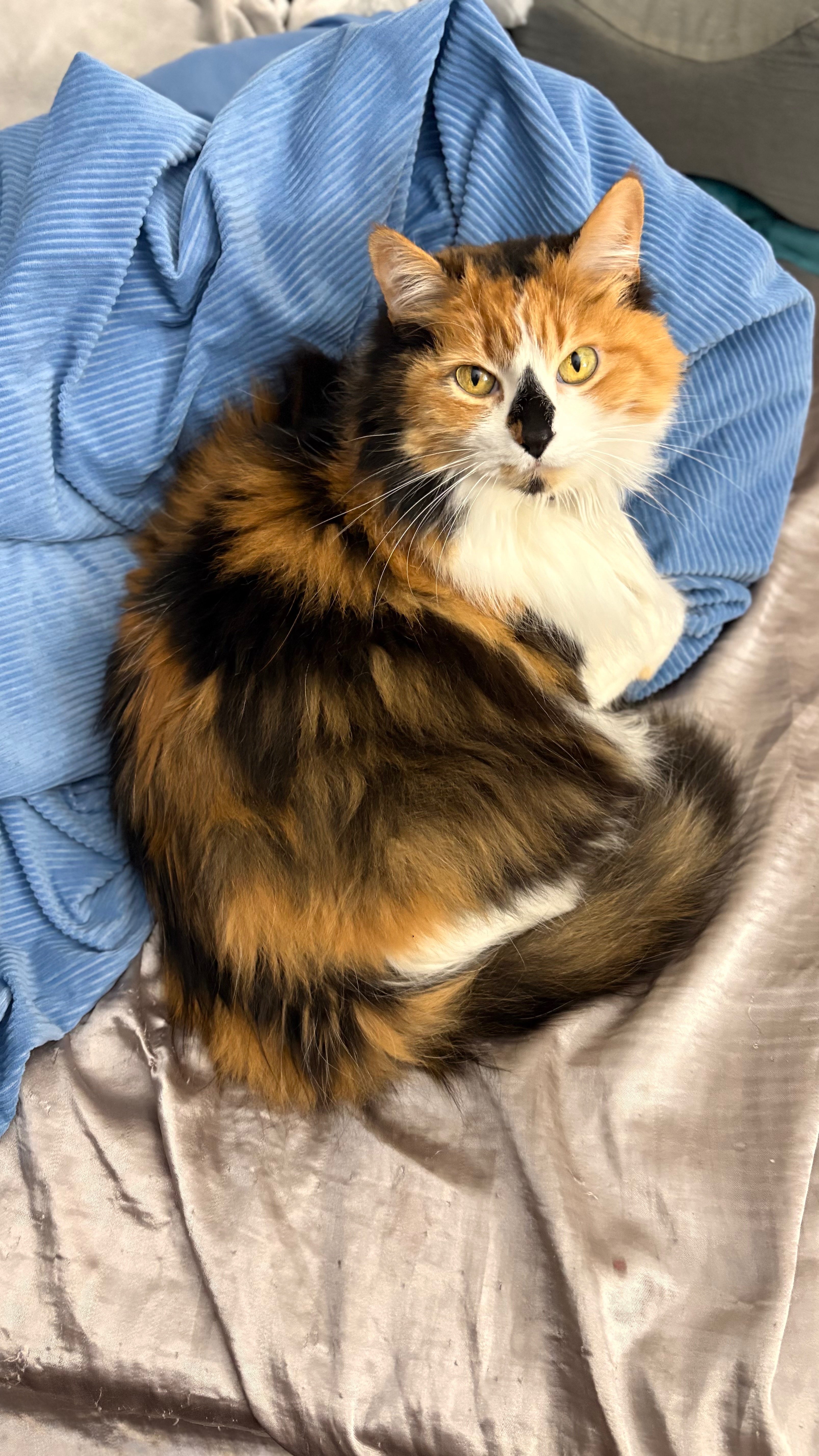 She Saved Me—Now Help Me Save Her campaign photo, 4 of 8