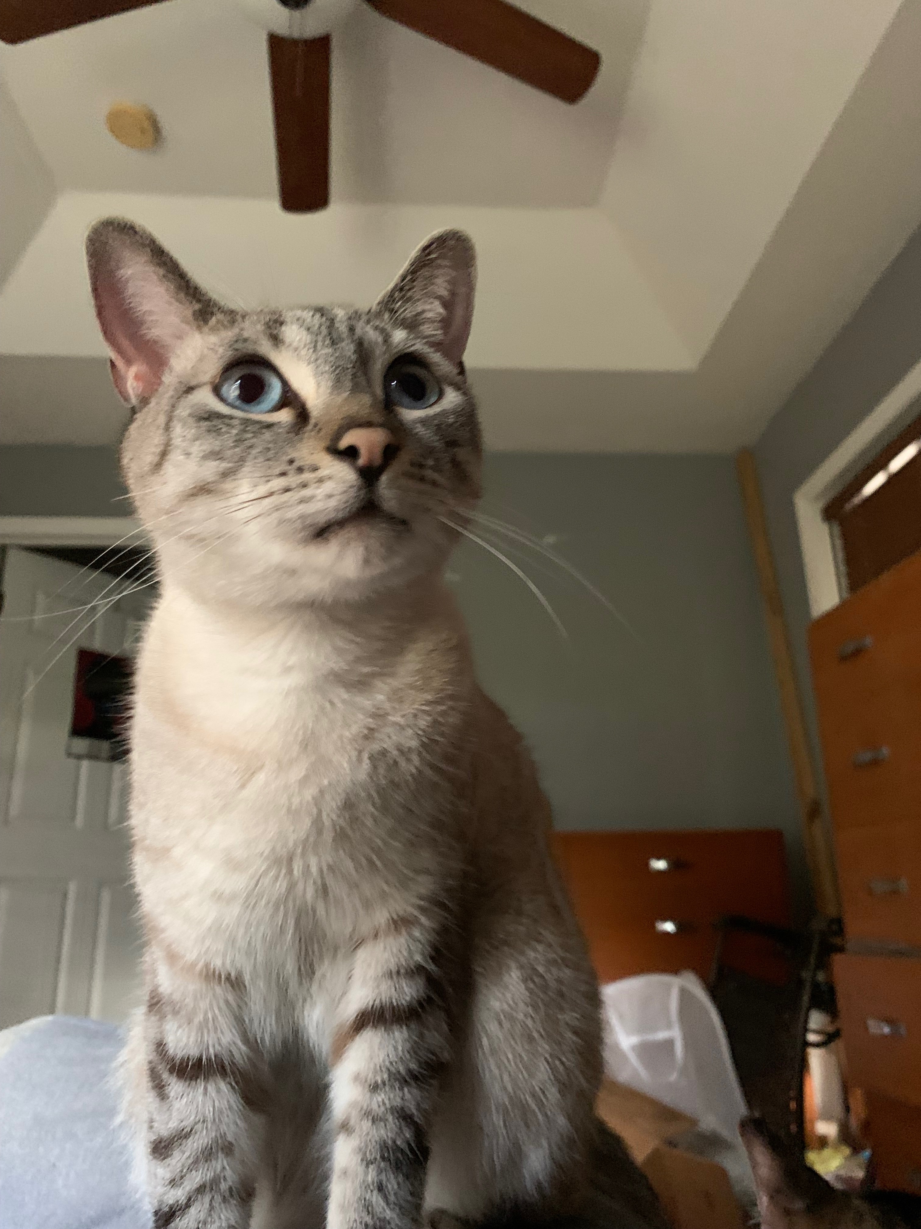 User-uploaded image 1