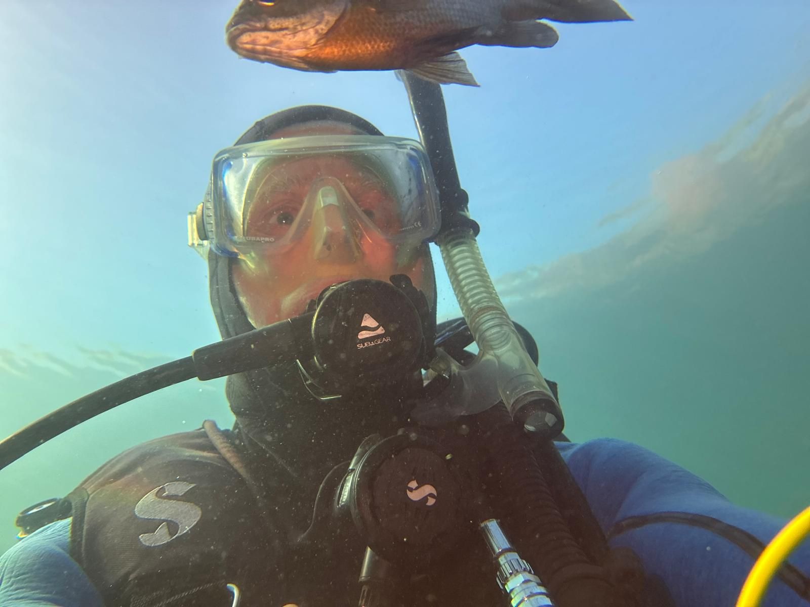 50 Dives in Constitutional Order — by a 77-Year-Old Legend campaign photo, 7 of 8