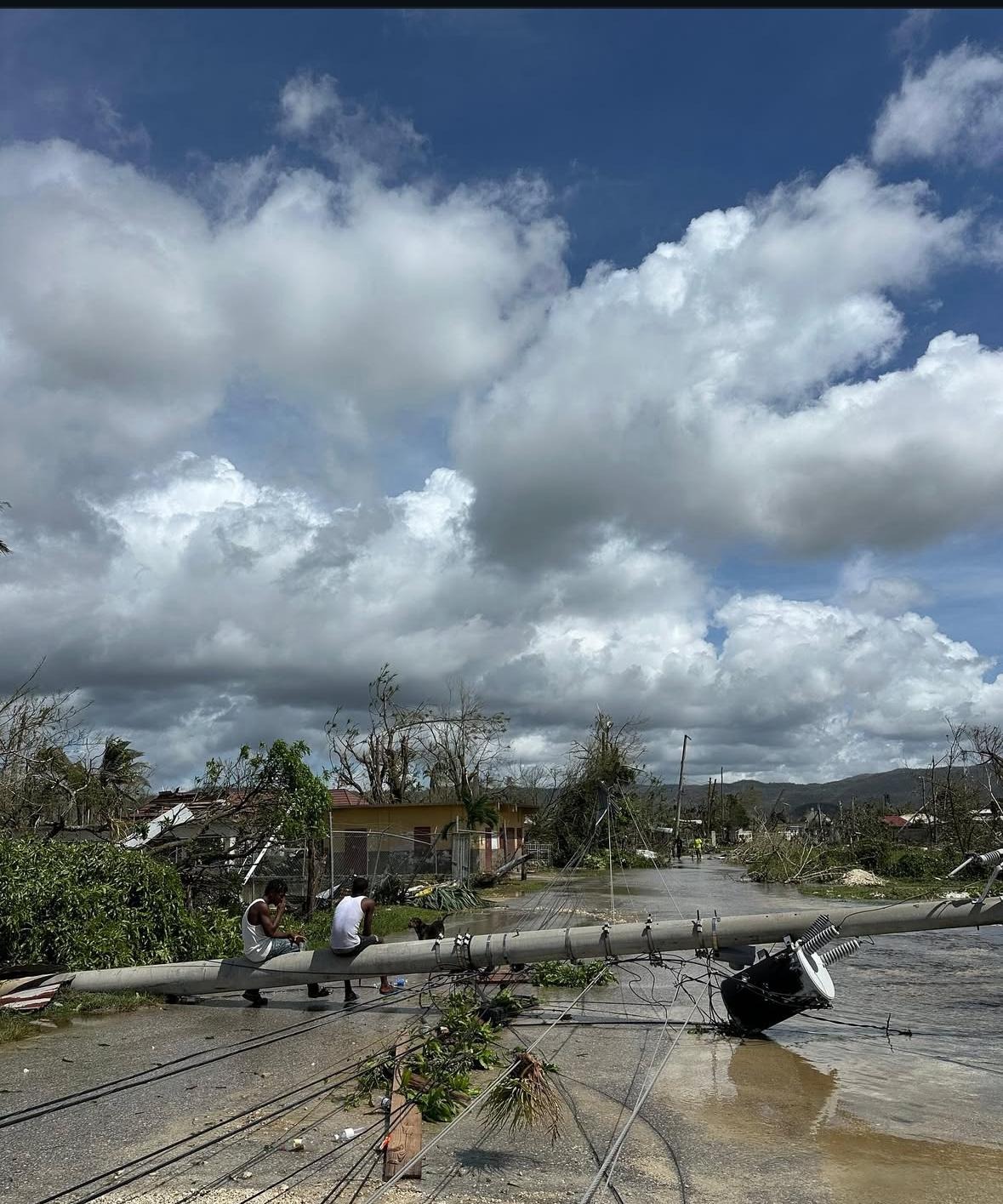 Support Cornwall Mountains' Hurricane Recovery campaign photo, 4 of 6