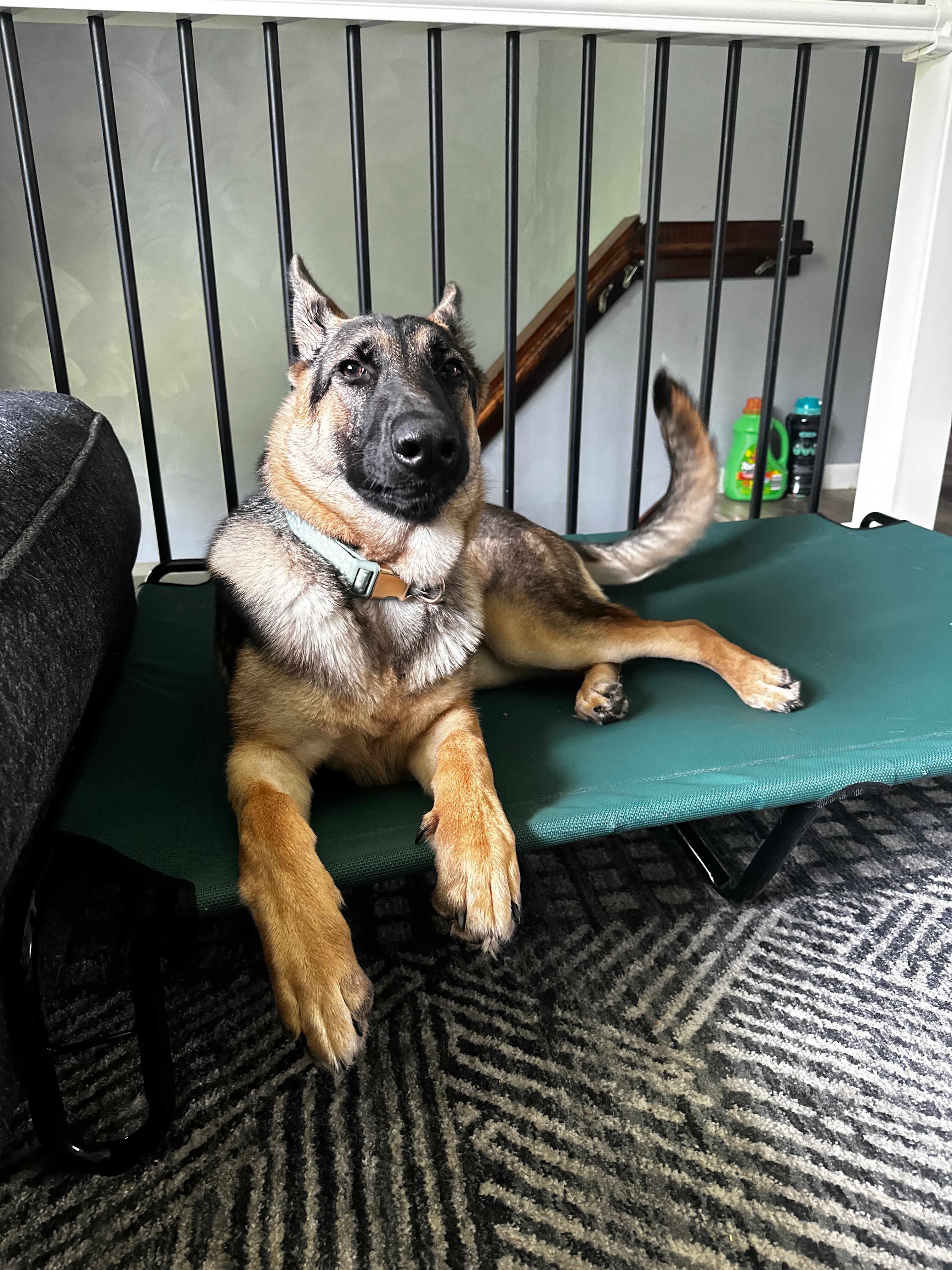 Donate to Piper's Life-Saving Surgery campaign photo, 6 of 8