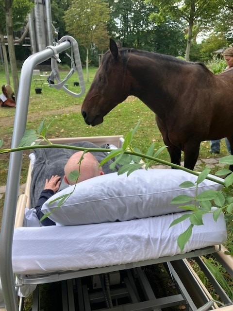 "Ein Pferd kann halten, wenn die Welt loslässt." (Hospiz) campaign photo, 7 of 8