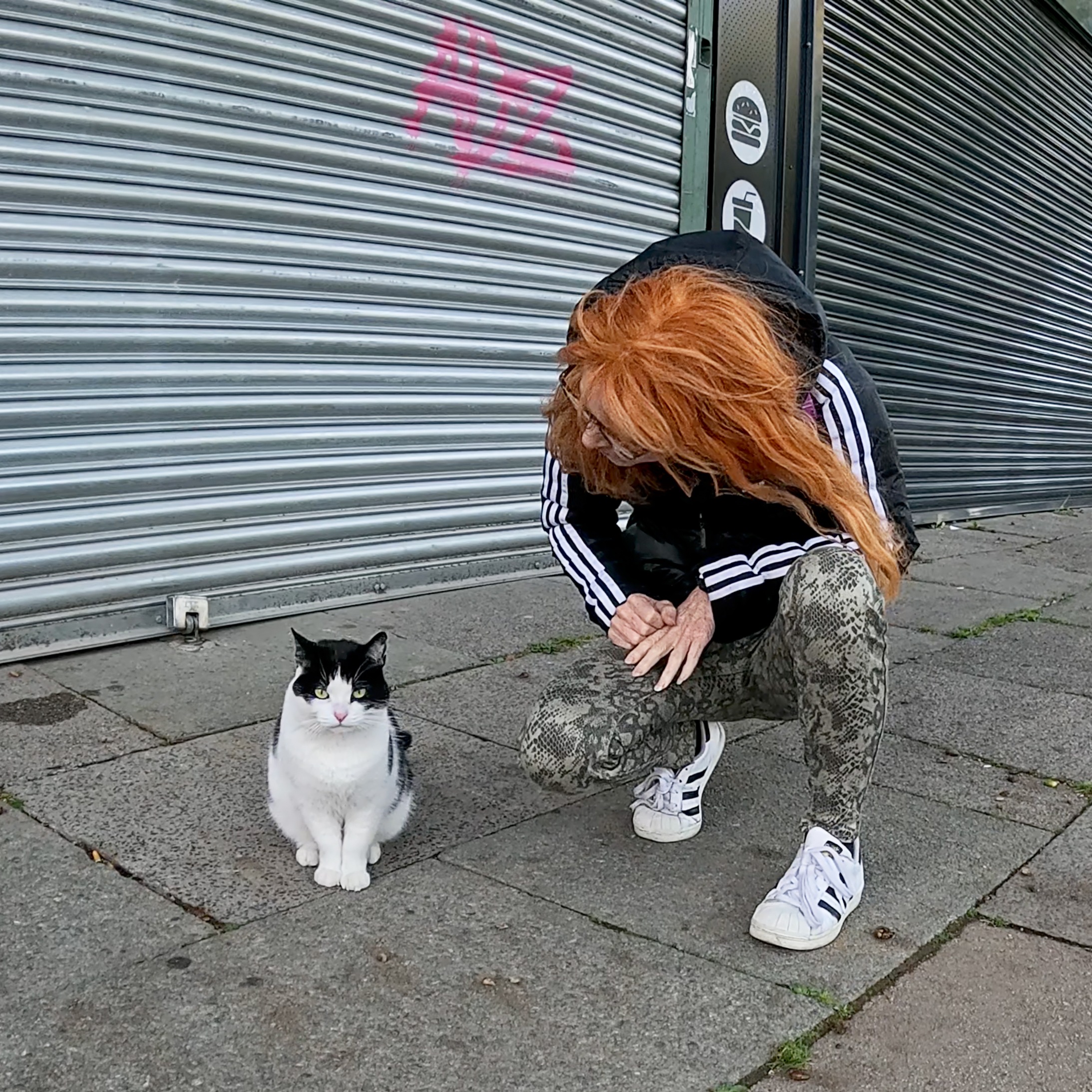 Help Peaches - The stray cat with cancer? campaign photo, 5 of 8