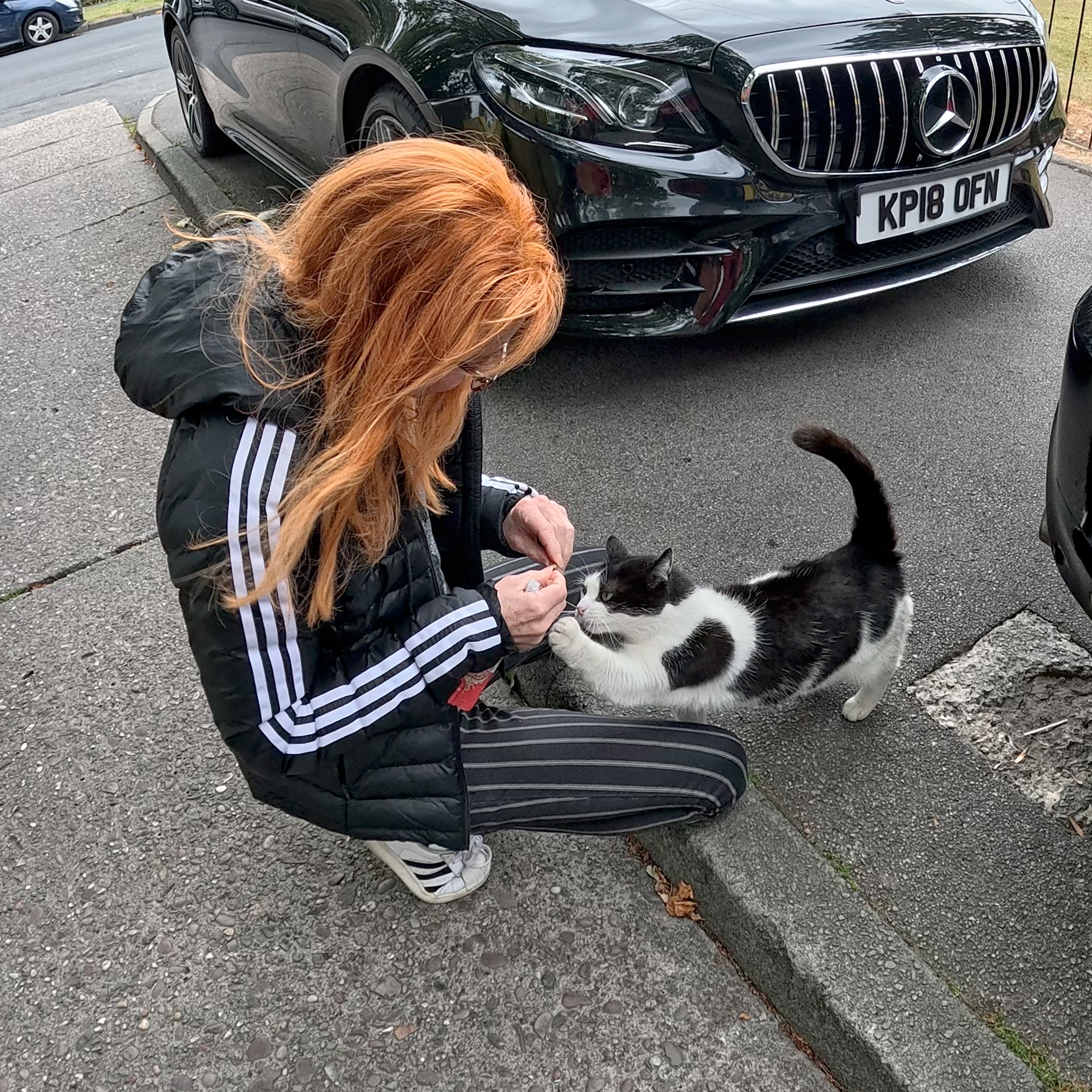Help Peaches - The stray cat with cancer? campaign photo, 6 of 8