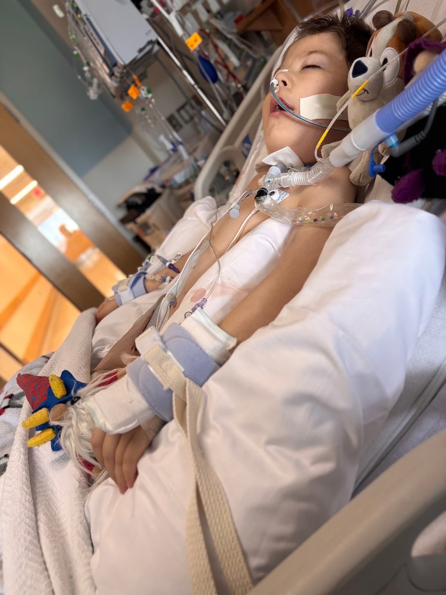 Help Support Remi & Mom During This Medical Emergency campaign photo, 4 of 6