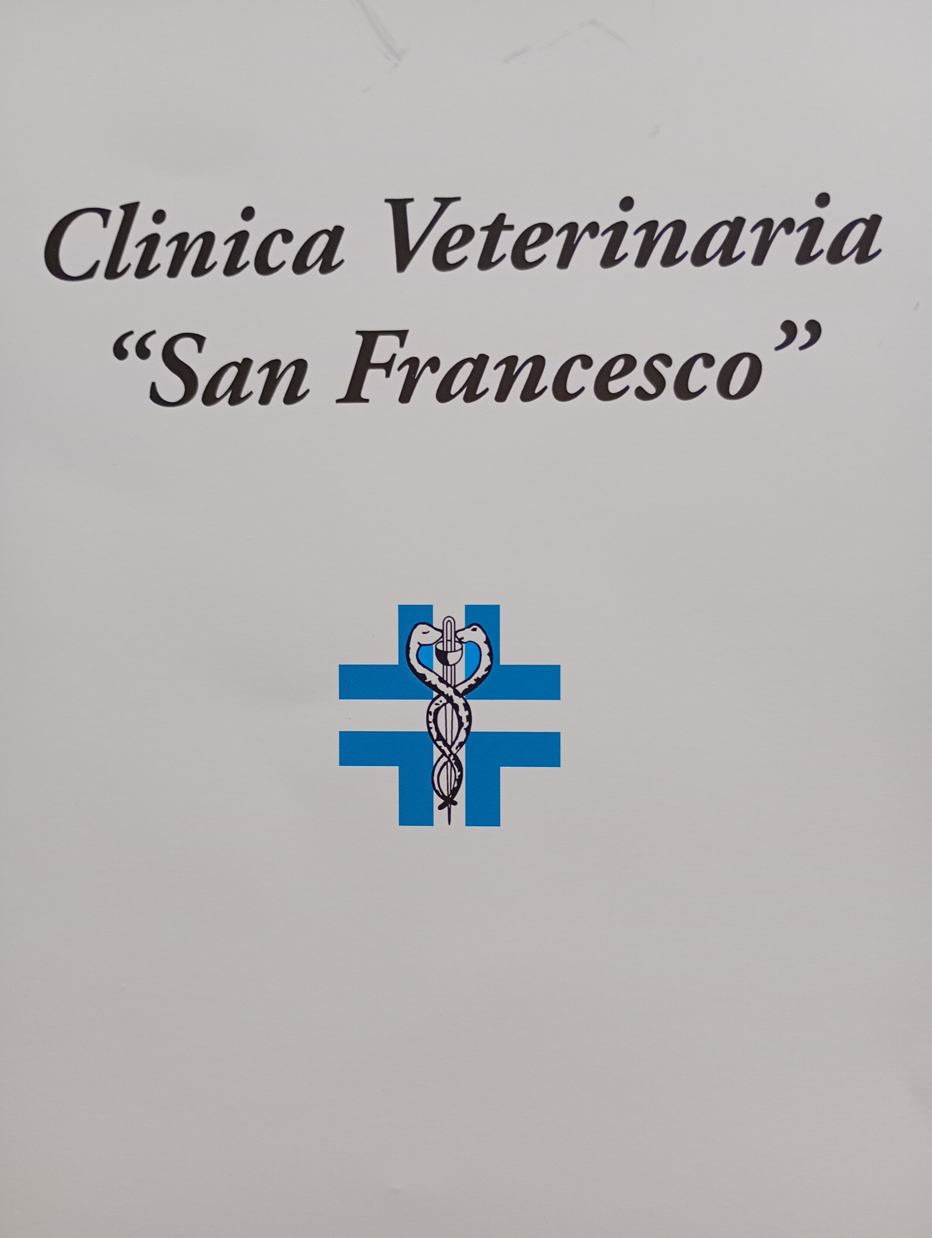 Operazione ernia del disco campaign photo, 2 of 4