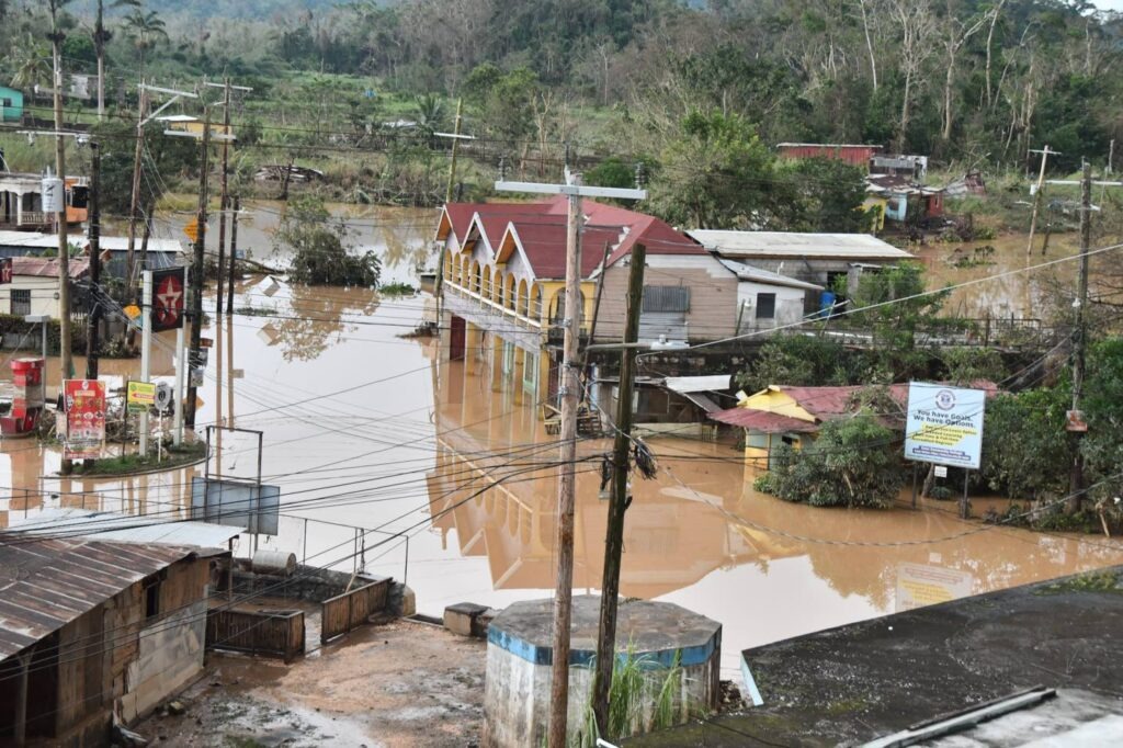 NATURAL  DISASTER campaign photo, 4 of 5