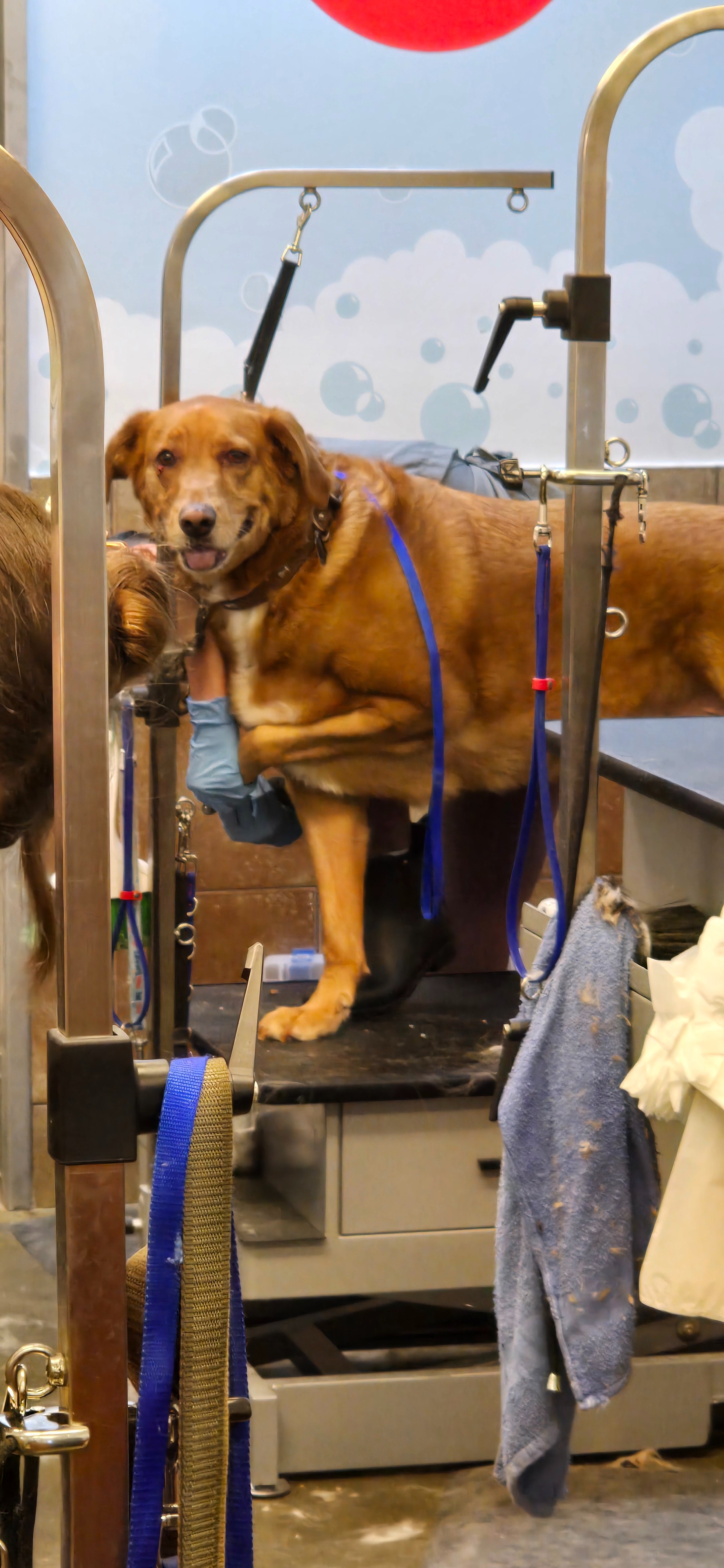 User-uploaded image 1