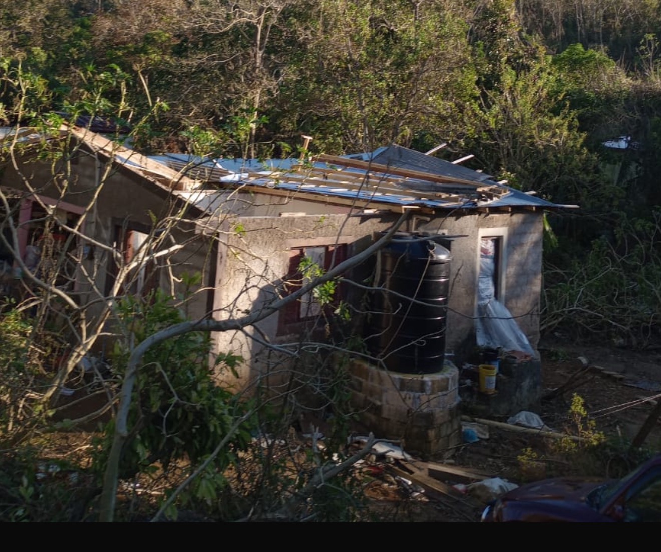 Support Janice's Recovery from Hurricane Devastation campaign photo, 7 of 8