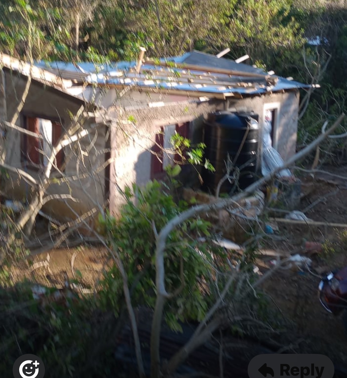 Support Janice's Recovery from Hurricane Devastation campaign photo, 2 of 8