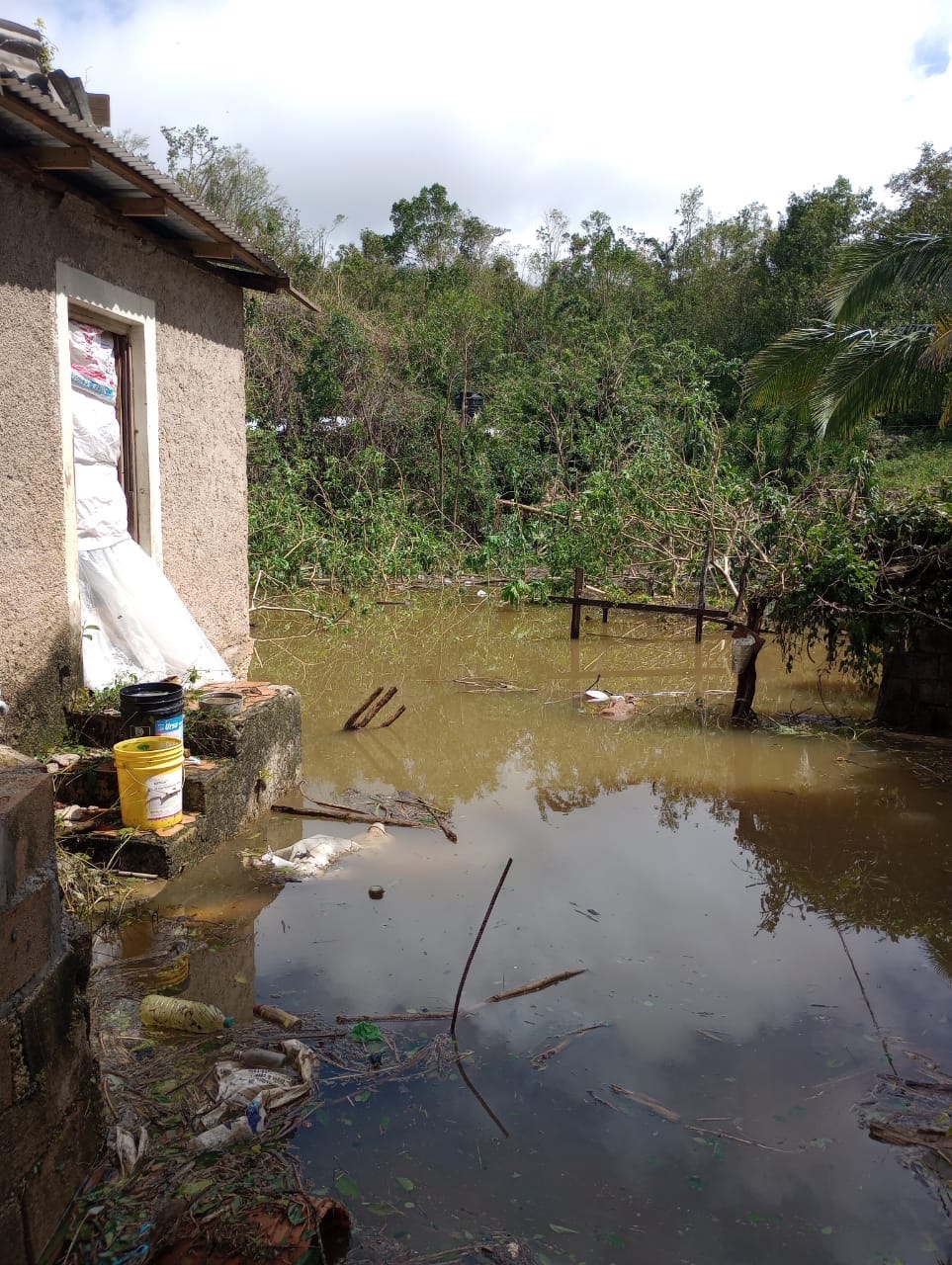 Support Janice's Recovery from Hurricane Devastation campaign photo, 5 of 8