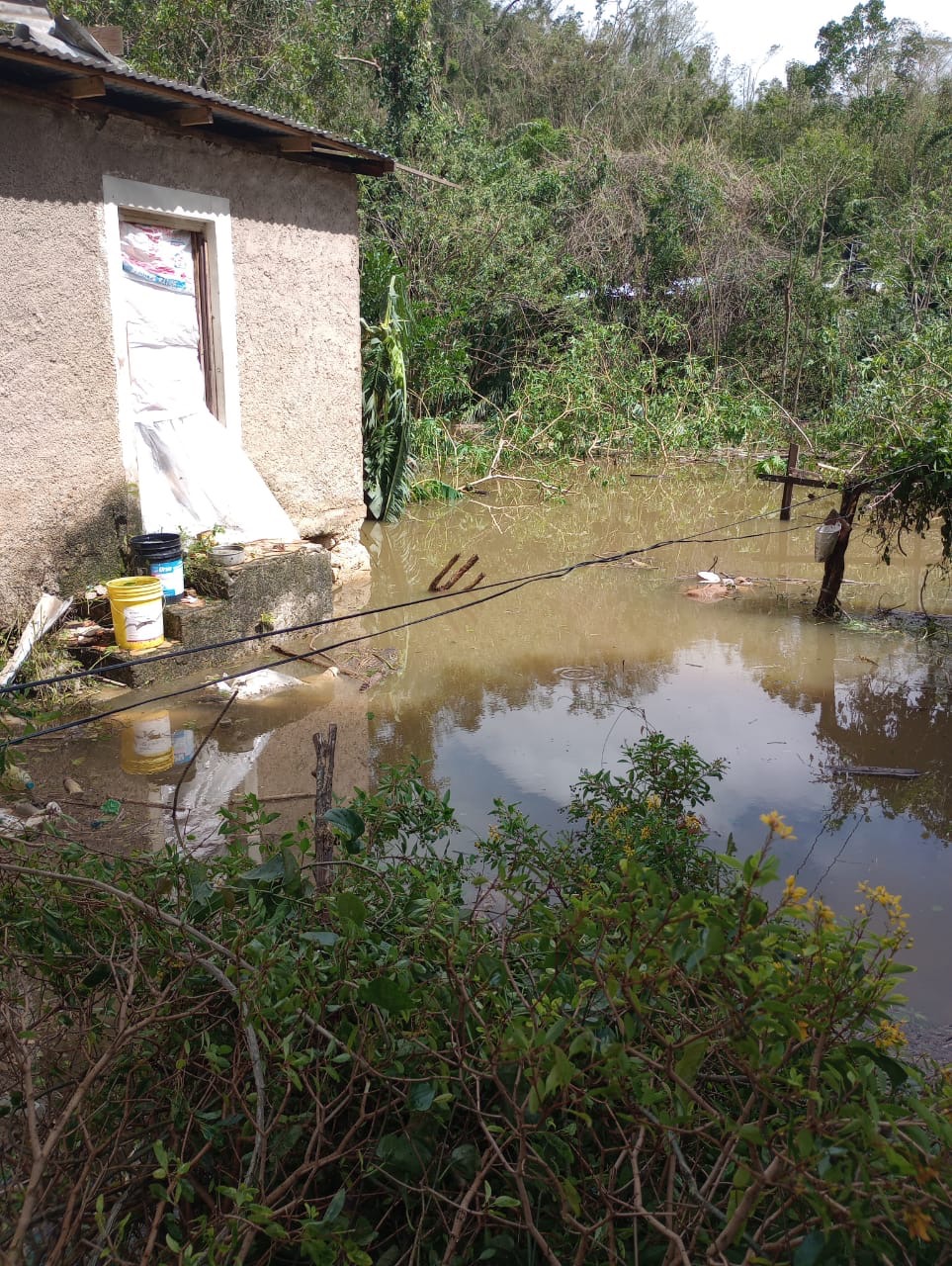 Support Janice's Recovery from Hurricane Devastation campaign photo, 6 of 8
