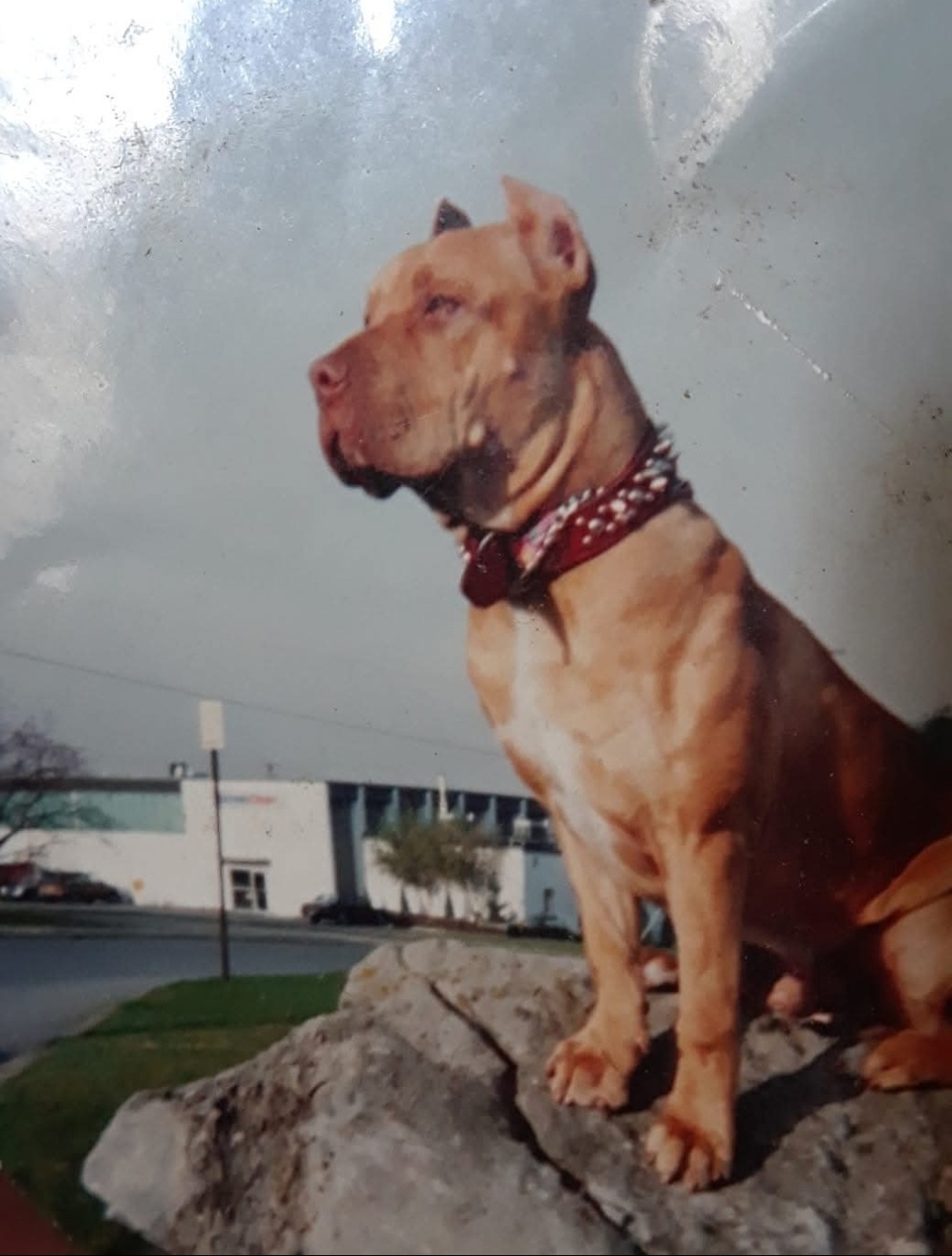 Help Us Give Brian 'Nature Boy' Brown a Beautiful Farewell campaign photo, 6 of 7