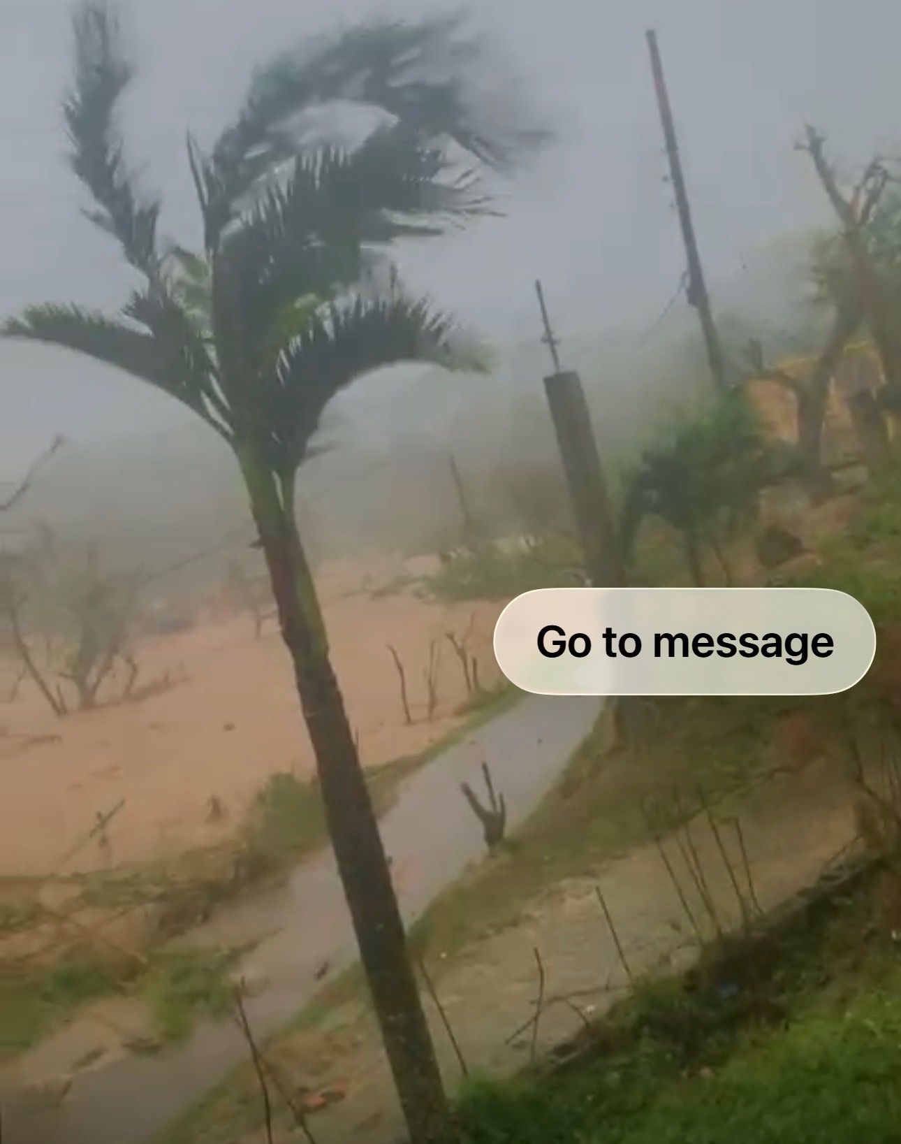 Help Caleisha's Family Rebuild After Hurricane Melissa campaign photo, 5 of 6