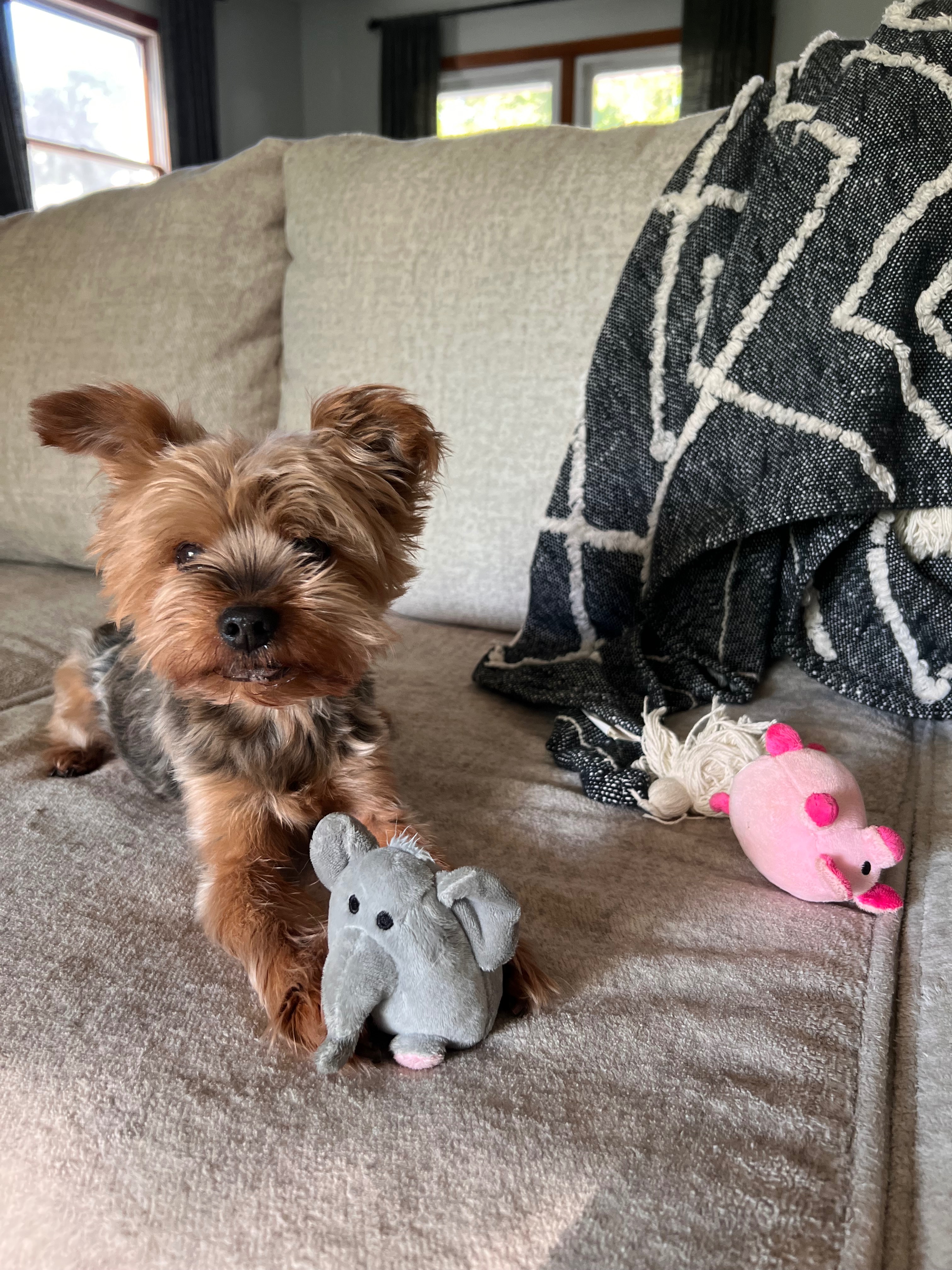Help Teemu Get His Emergency Hernia Operation campaign photo, 5 of 6