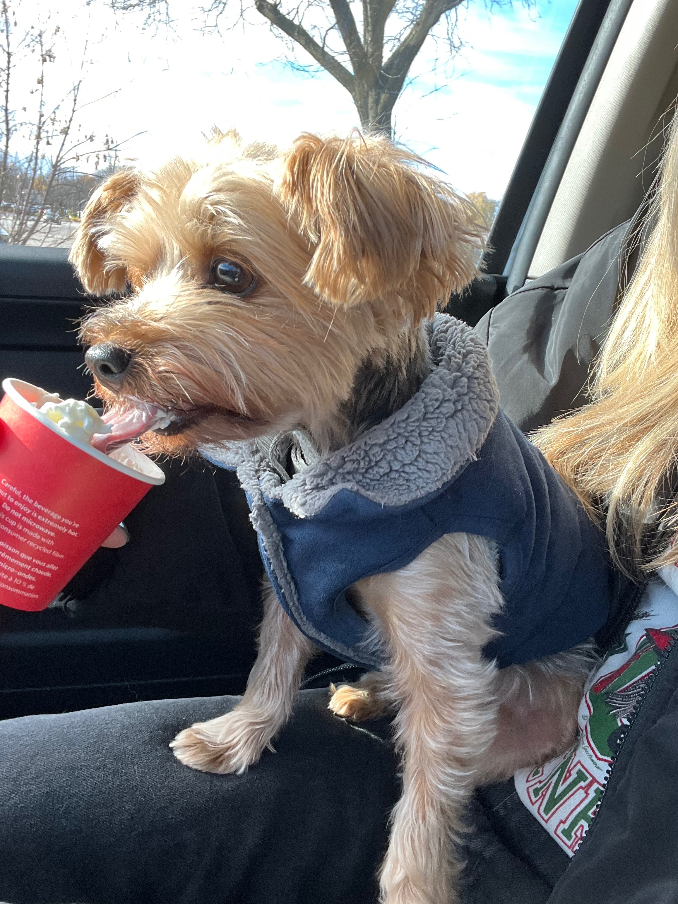 Help Teemu Get His Emergency Hernia Operation campaign photo, 4 of 6