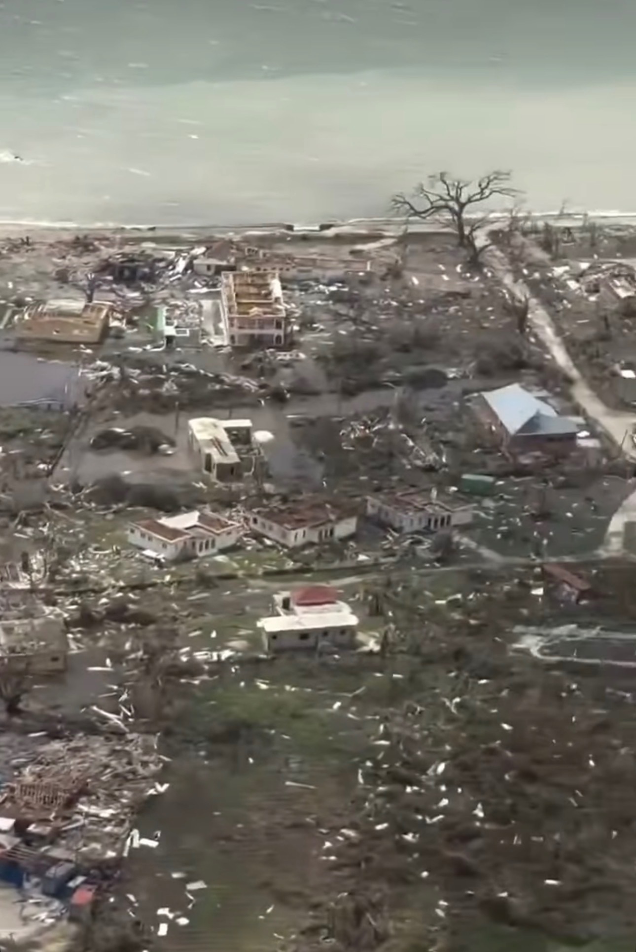 Jamaica stand Strong Hurricane Relief Funding campaign photo, 7 of 8