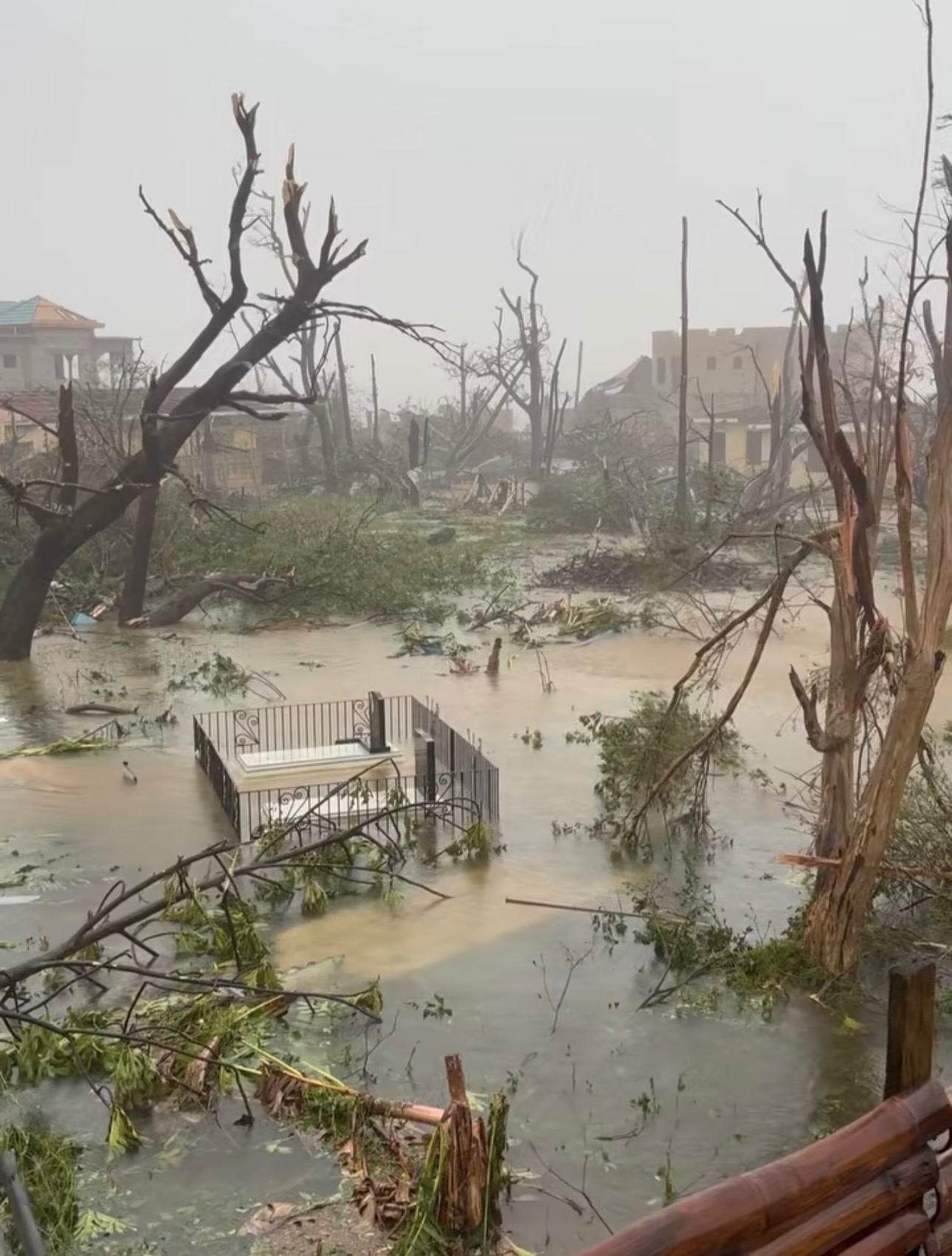 Jamaica stand Strong Hurricane Relief Funding campaign photo, 5 of 8
