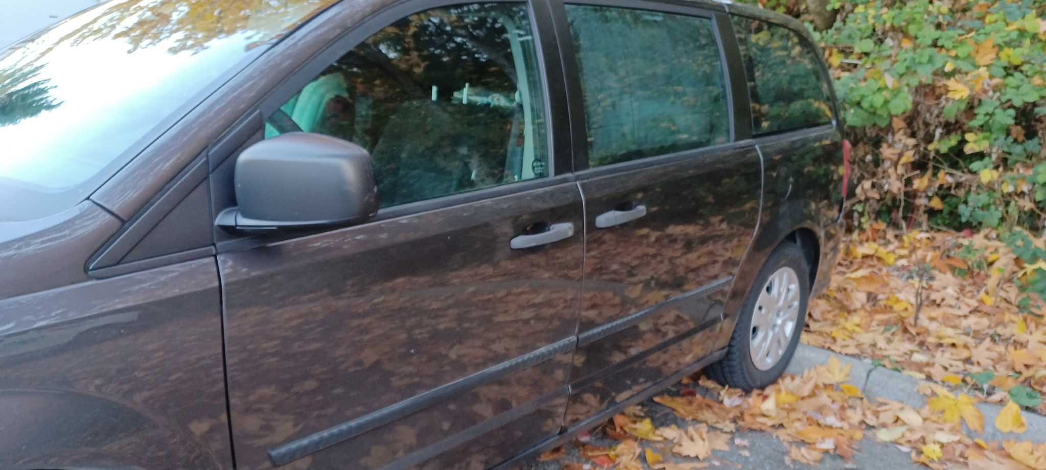 User-uploaded image 1