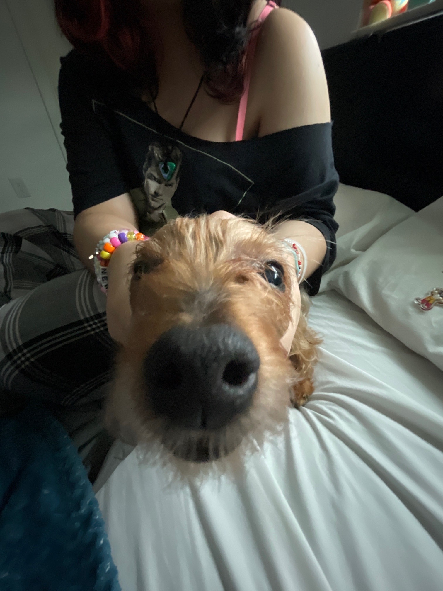 Please donate to help Bella live campaign photo, 4 of 8