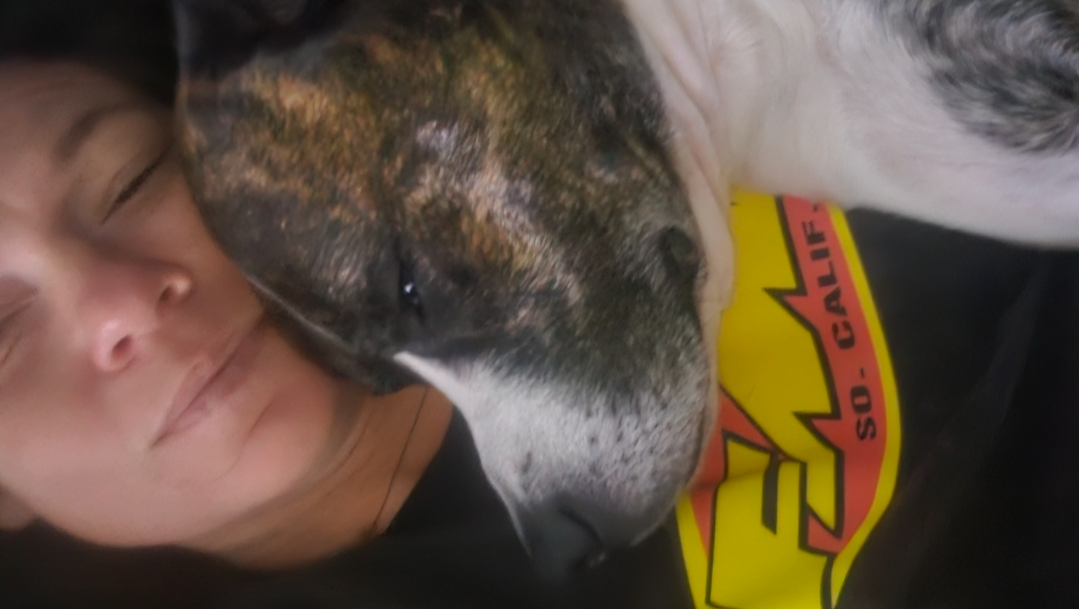 Emergency Vet Funds Needed For Rowdy's Oral Surgery photo