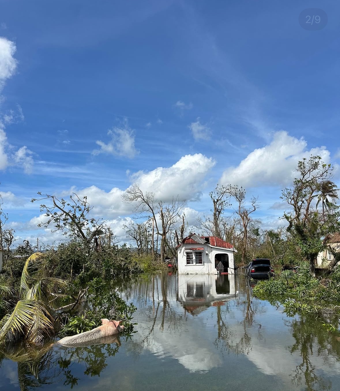 Mutual Aid Support for Jamaica: Hurricane Melissa campaign photo, 4 of 6
