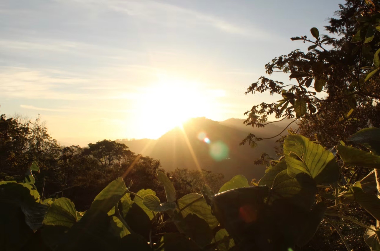 From Vision to Soil: Conscious Living in Costa Rica campaign photo, 5 of 6