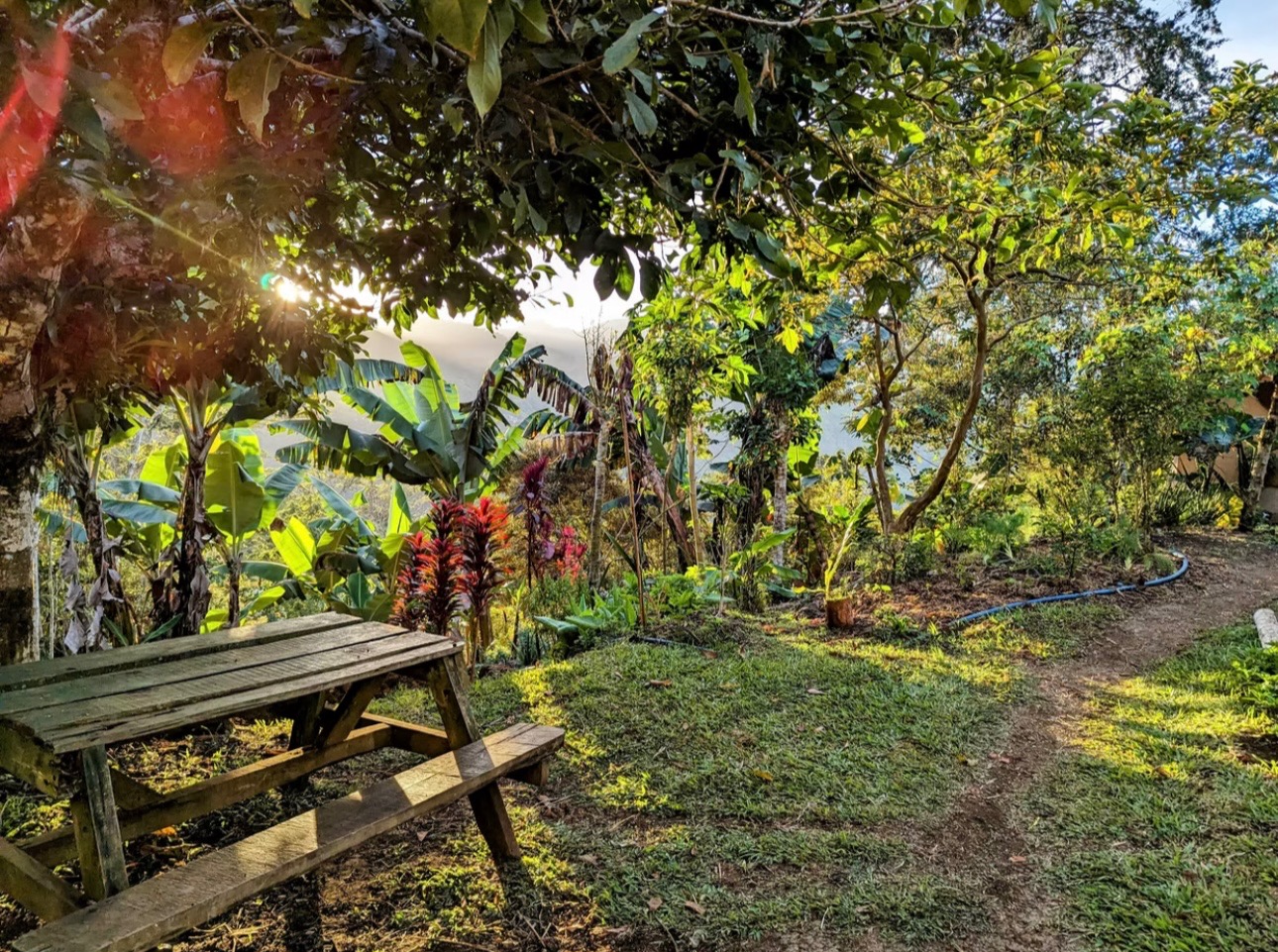 From Vision to Soil: Conscious Living in Costa Rica campaign photo, 4 of 6