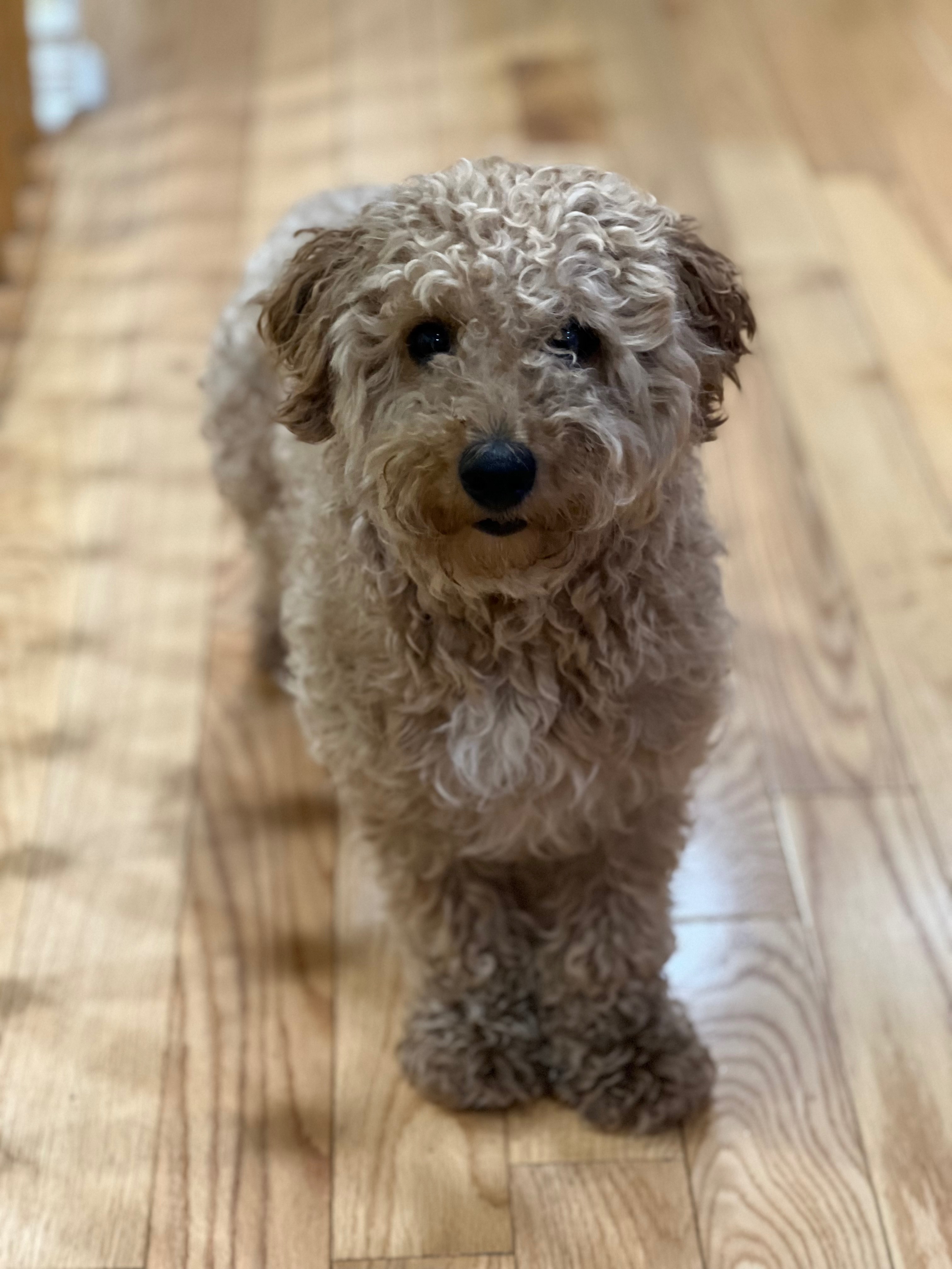 User-uploaded image 1