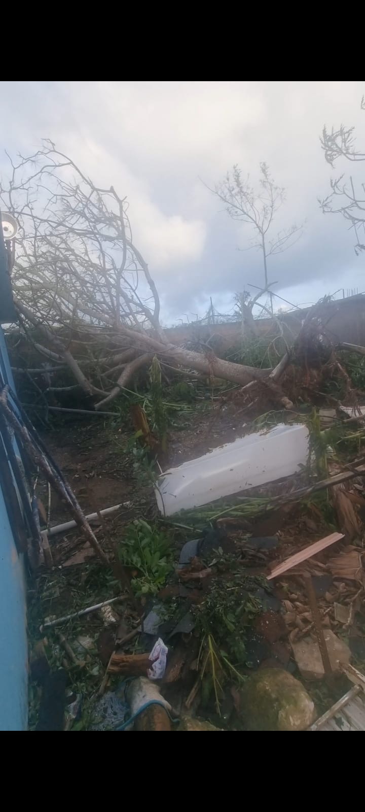 Donate for Nickeisha's Water Tank and Generator campaign photo, 4 of 7