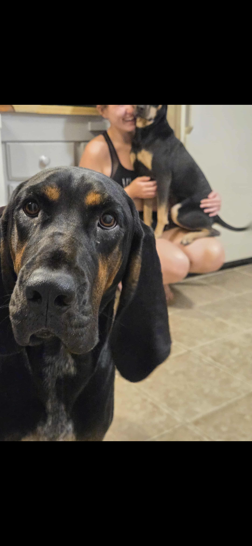Help Millie Moose Run Again: Support Her Surgery campaign photo, 2 of 8