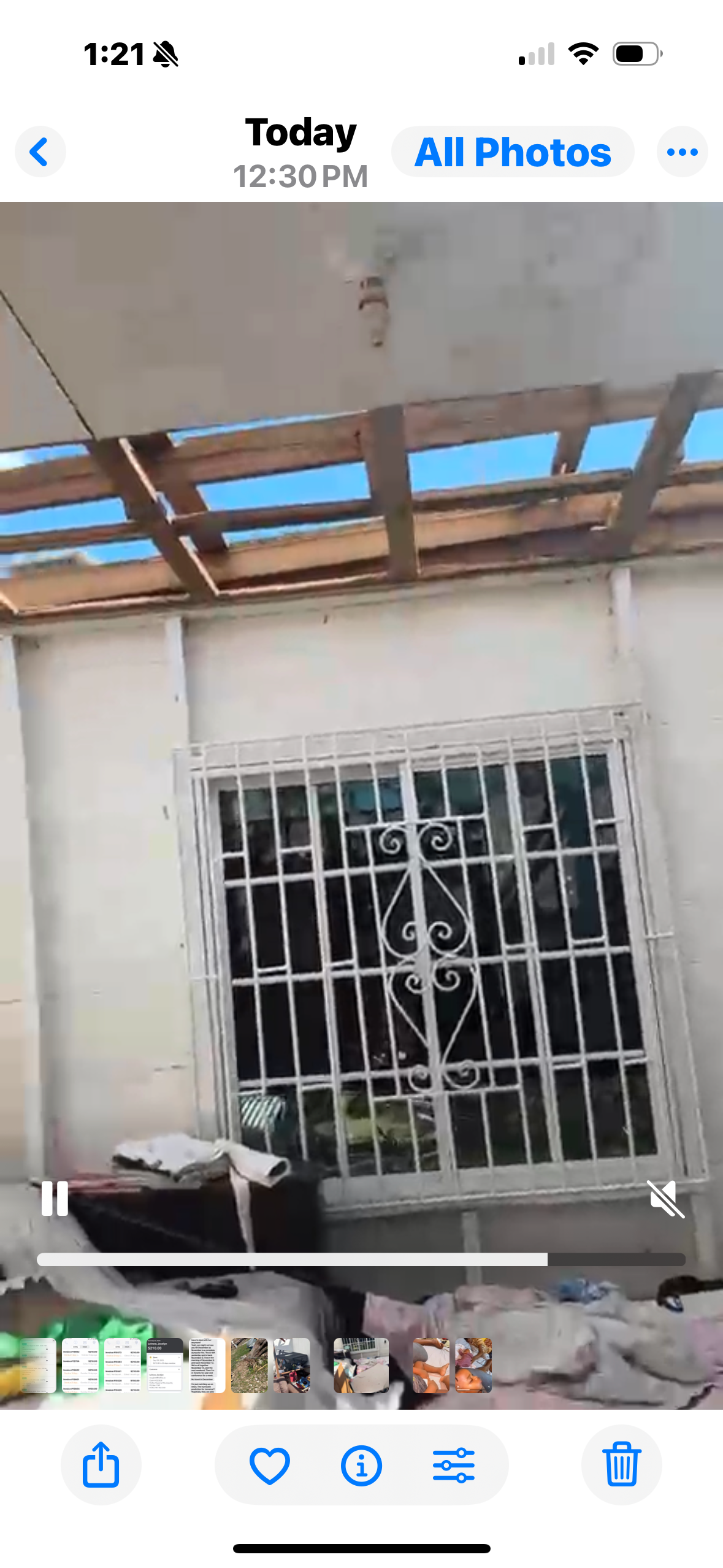 URGENT — Westmoreland, Jamaica campaign photo, 2 of 7