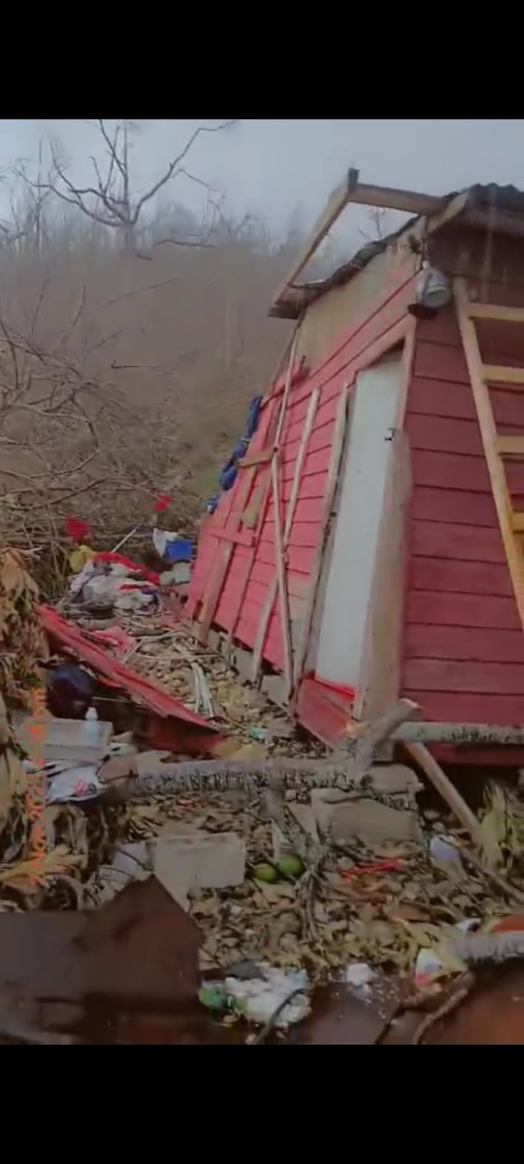 User-uploaded image 1