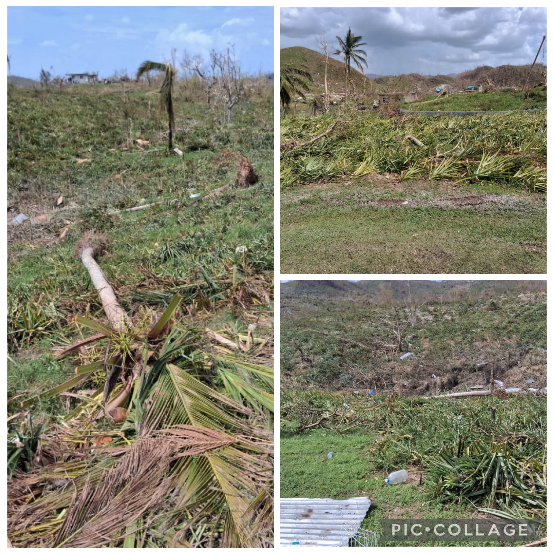Hurricane Melissa Help campaign photo, 5 of 8