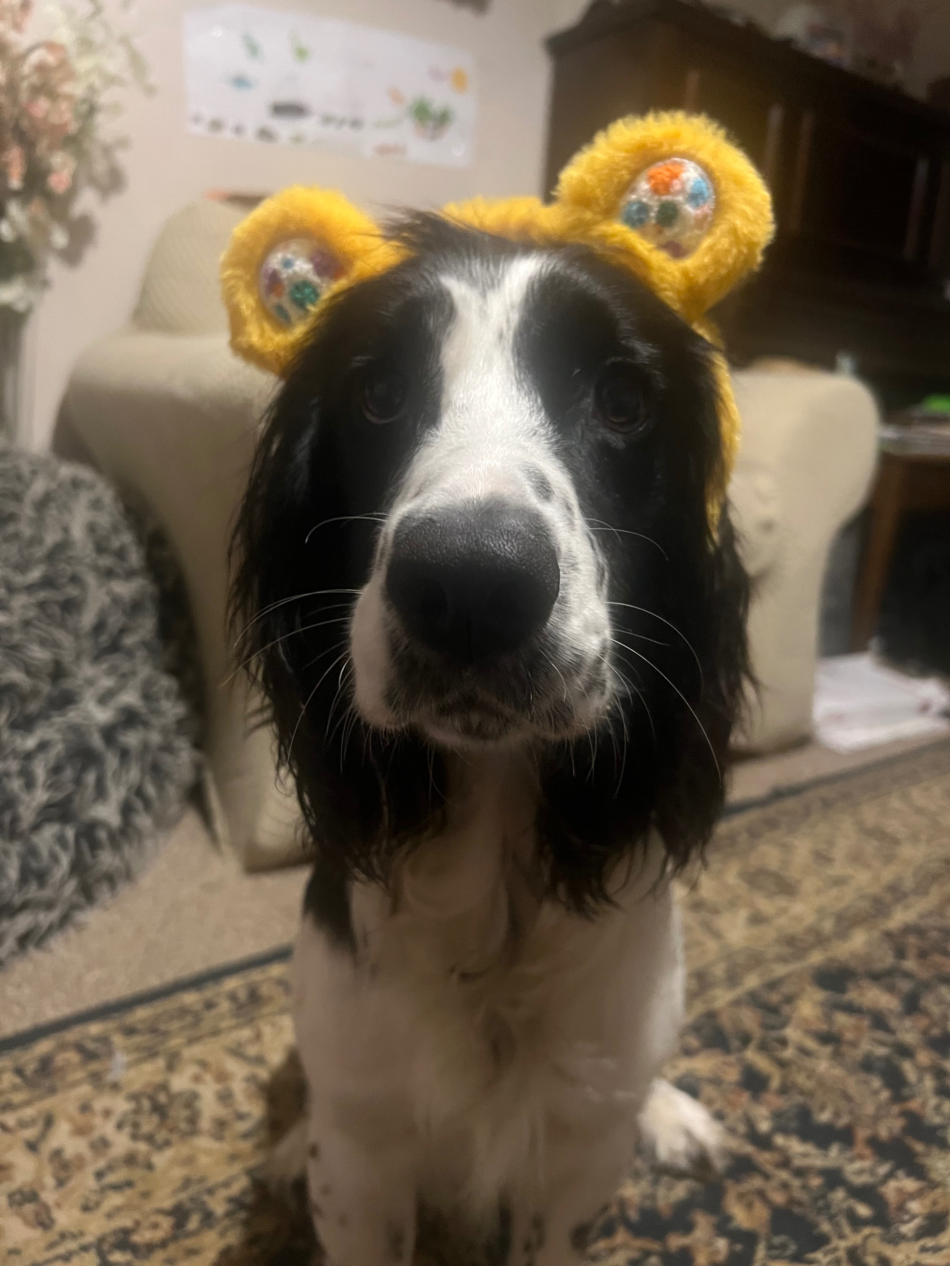 Henry & Poppy’s 2nd Children in Need challenge campaign photo, 7 of 8