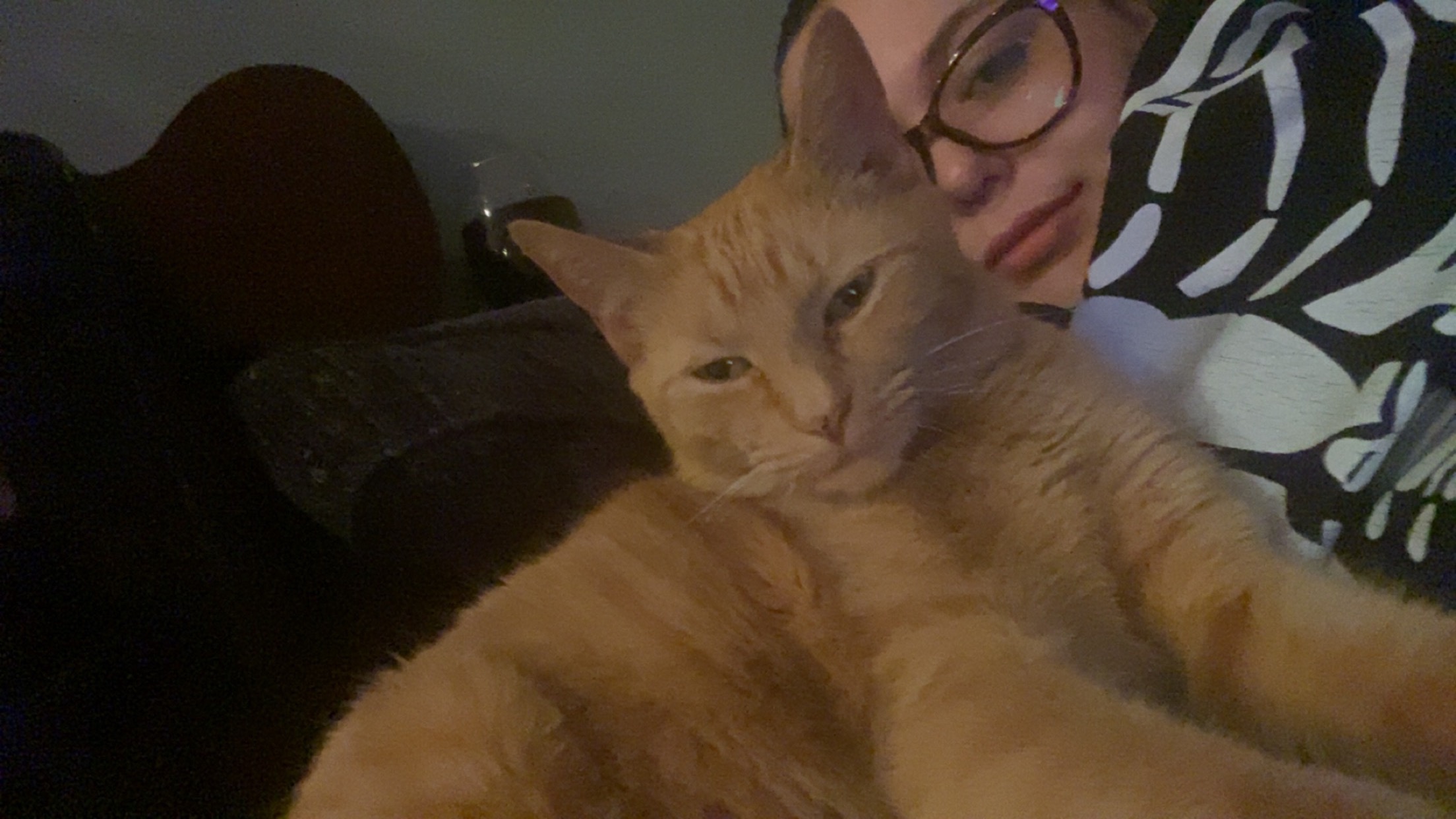 Help Me Bring My Best Friend Home One Last Time campaign photo, 7 of 8