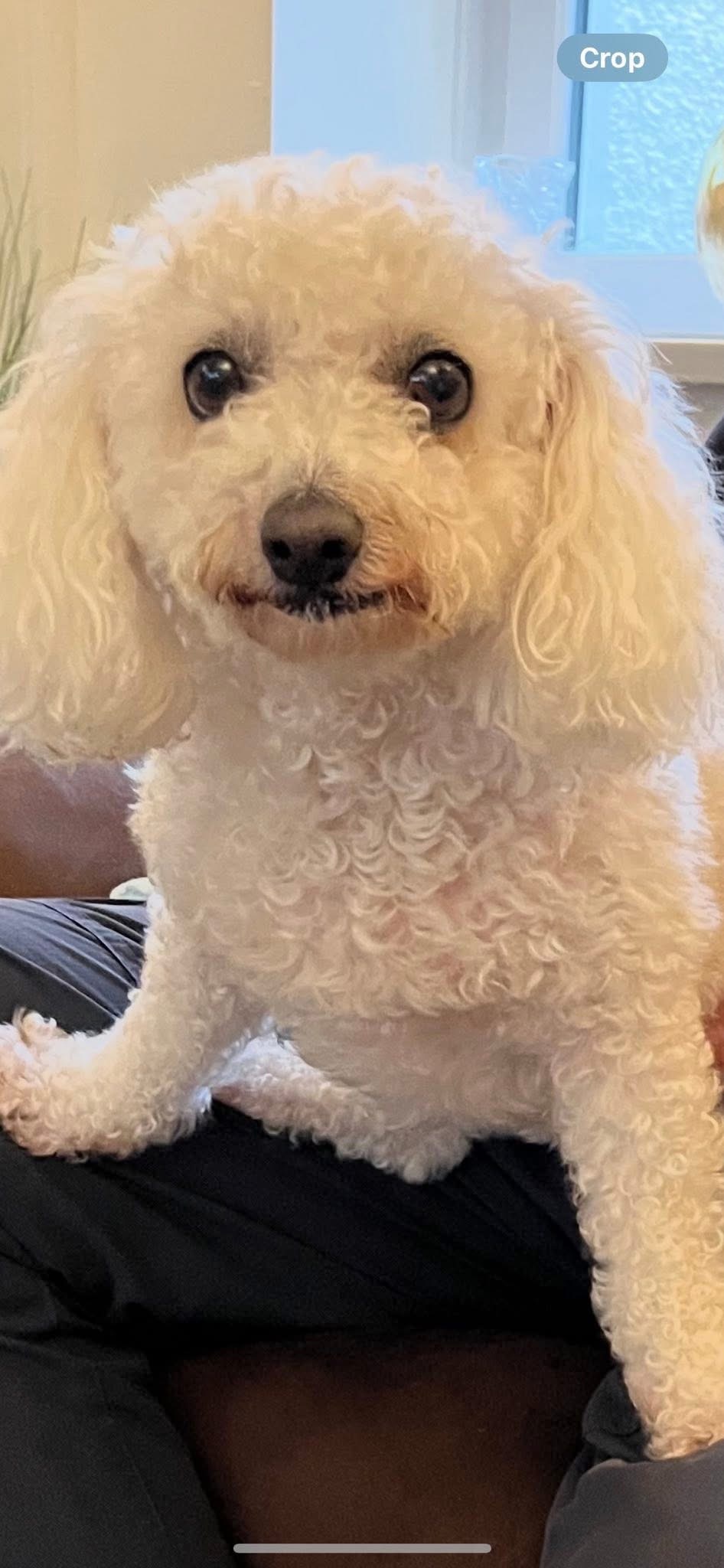 User-uploaded image 1