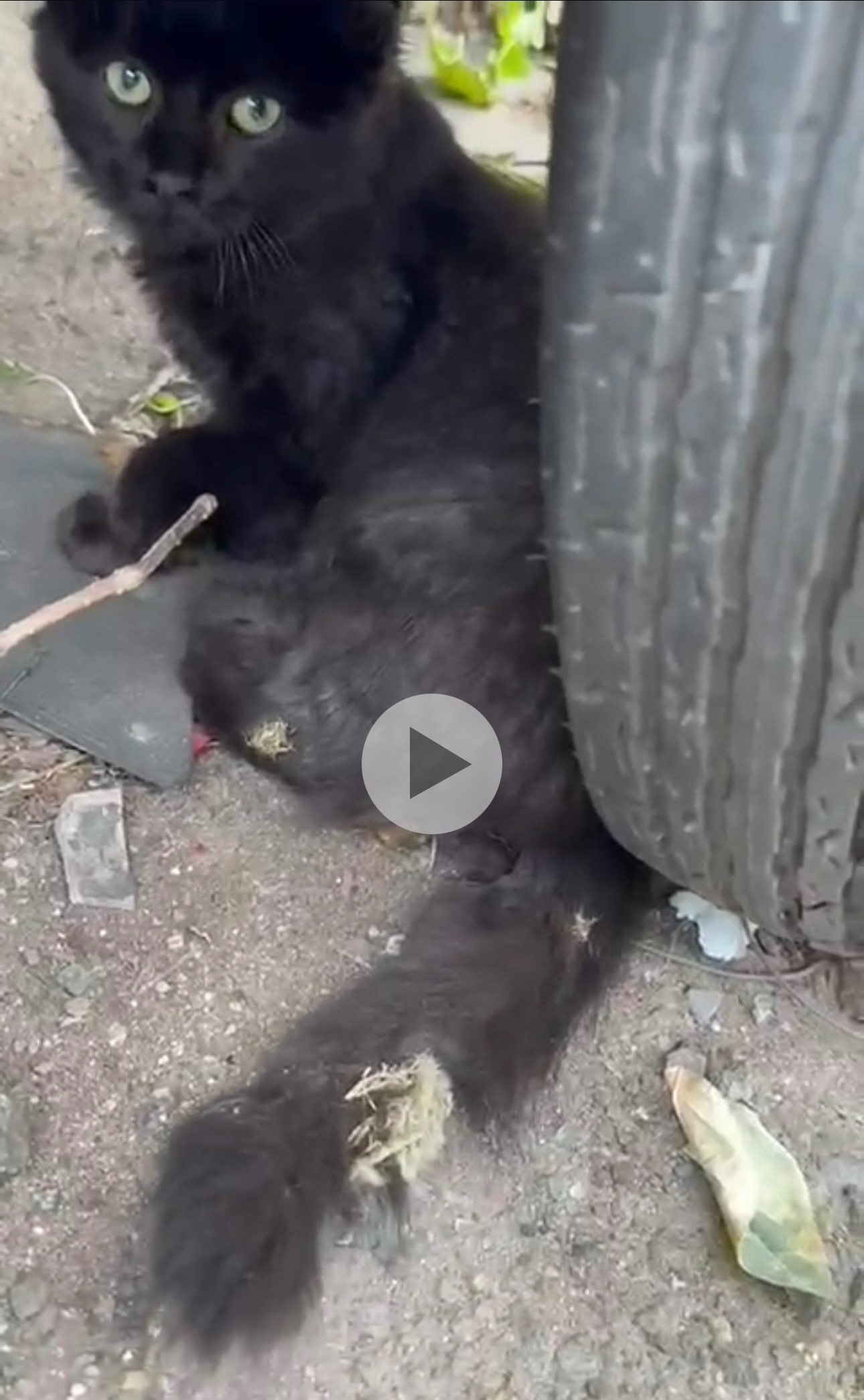 User-uploaded image 1