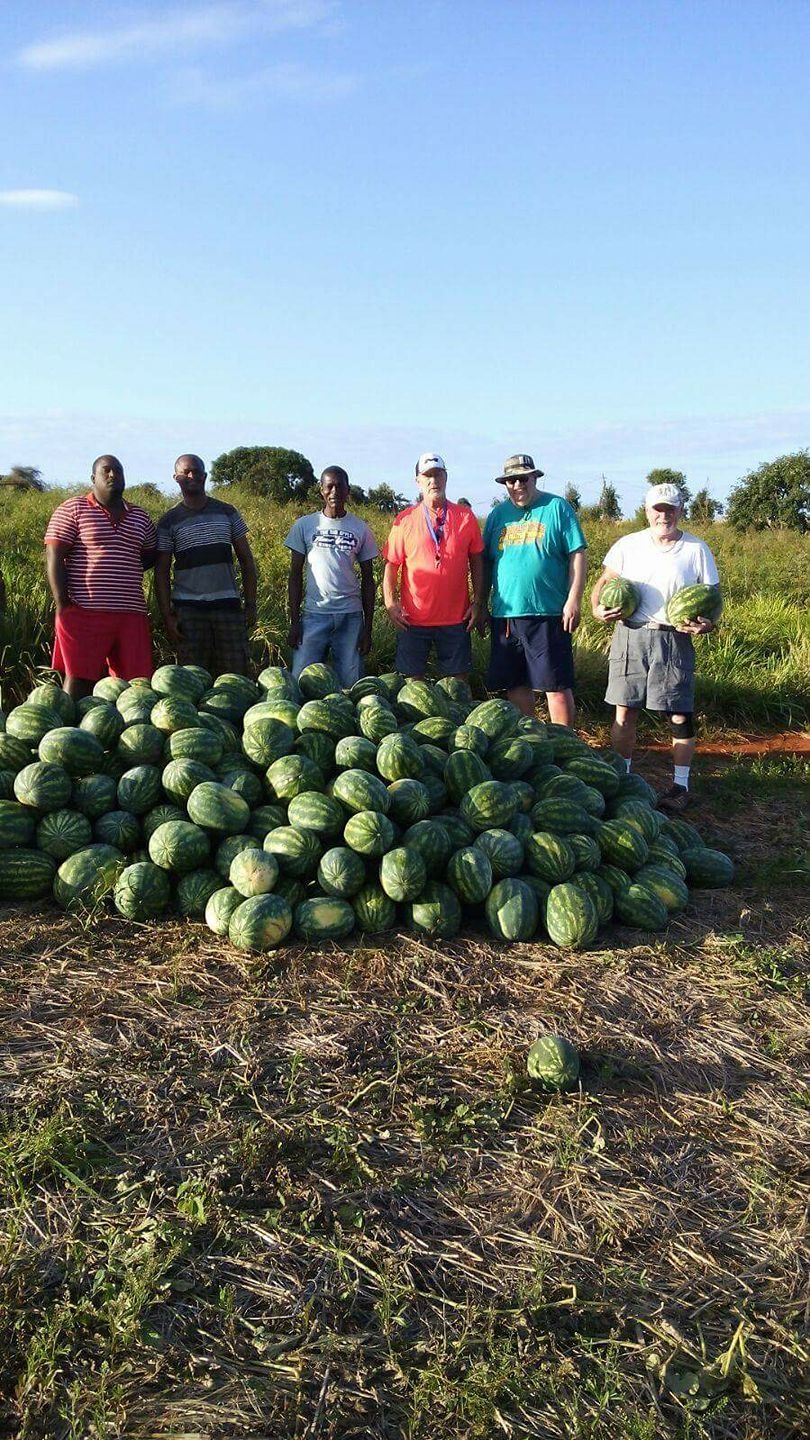 Support Treasure Beach Community Post-Hurricane Melissa campaign photo, 4 of 6
