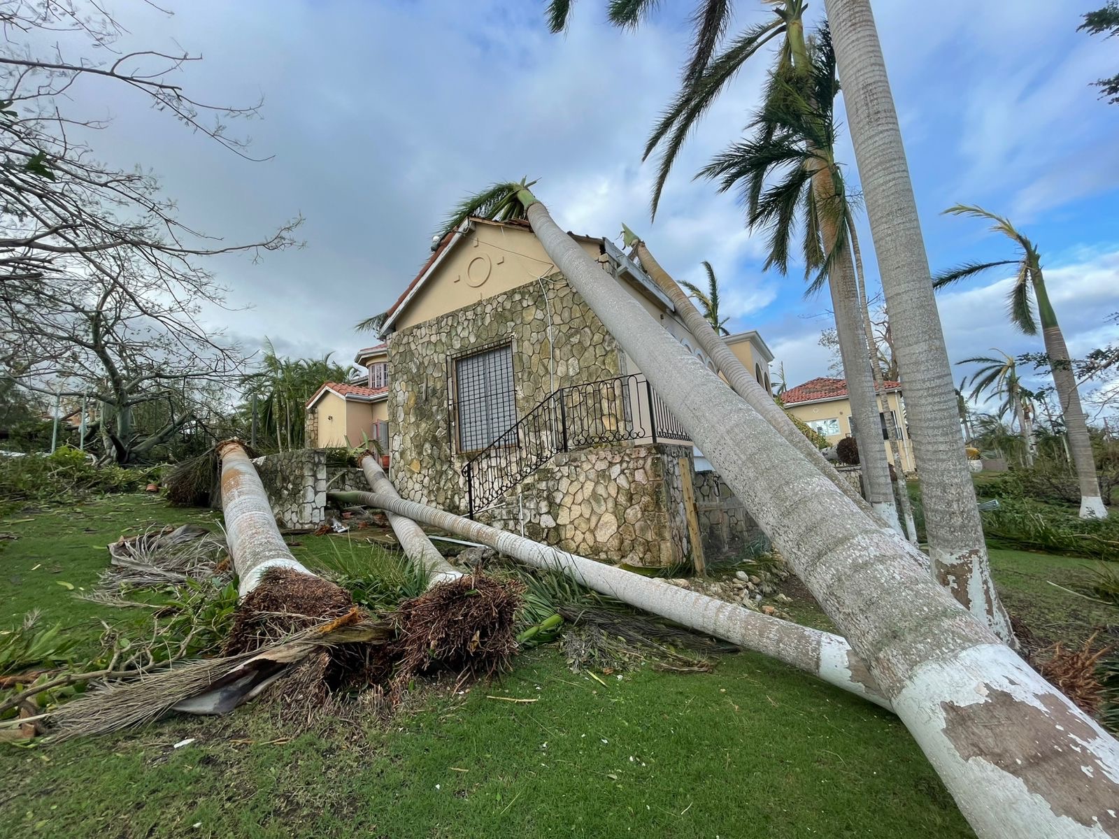 Jamaican relief campaign photo, 2 of 4