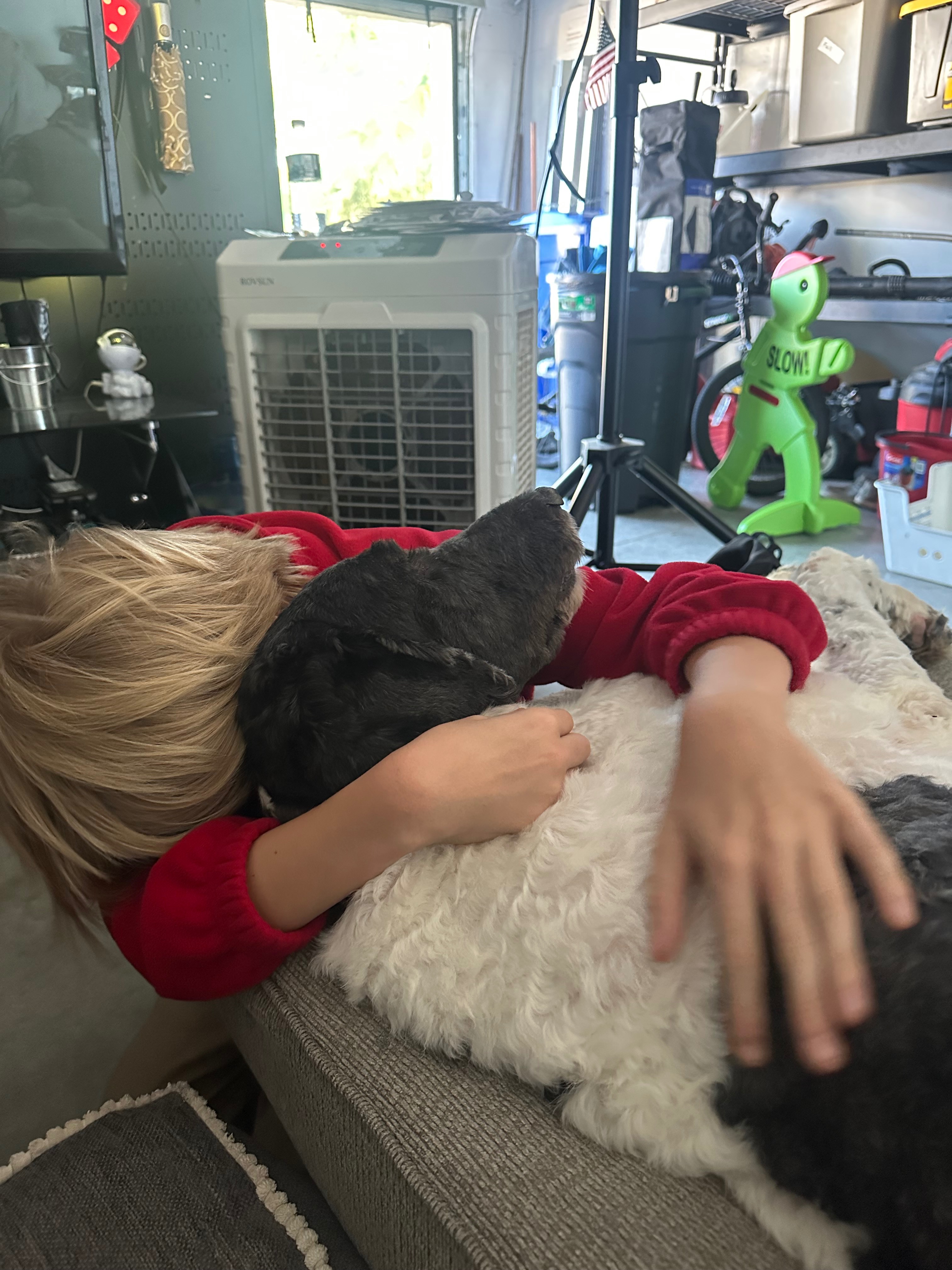 Save Bubba: Urgent Surgery Needed campaign photo, 7 of 7