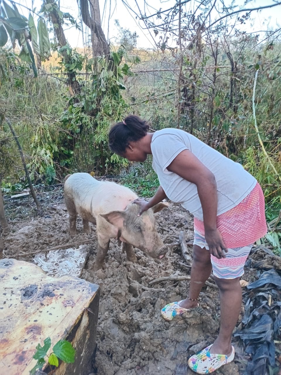 Help Daneika & Her Daughter Rebuild After Hurricane Melissa campaign photo, 5 of 7