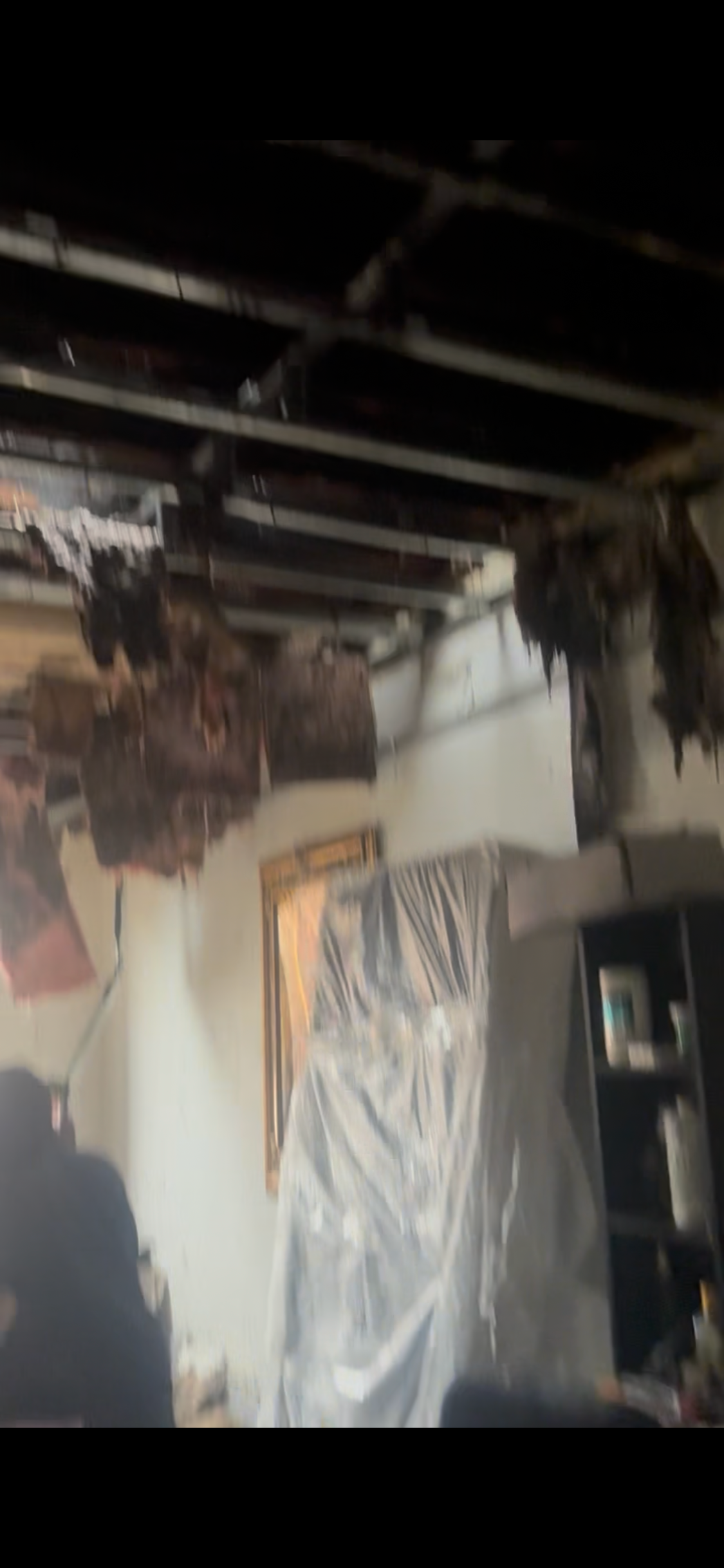 Support Giannie and Her Dogs After Tragic Fire campaign photo, 7 of 8