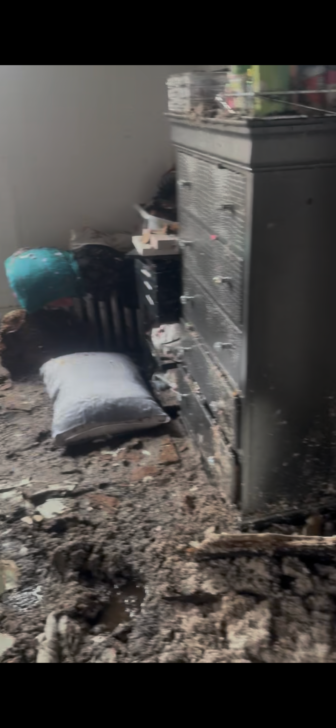 Support Giannie and Her Dogs After Tragic Fire campaign photo, 4 of 8