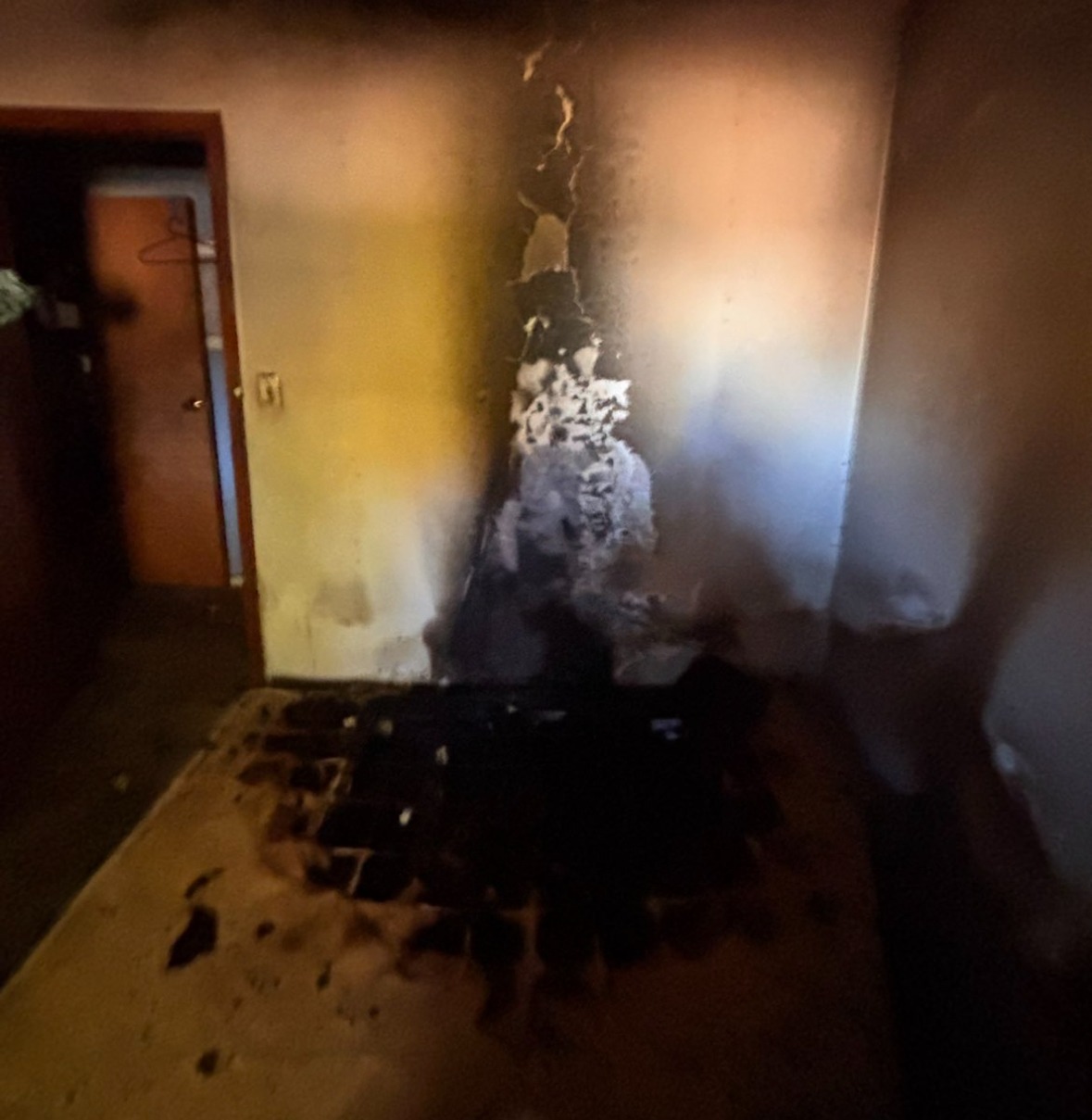 Help the Friedel Family Rebuild After Fire, and Loss of Dogs campaign photo, 2 of 4