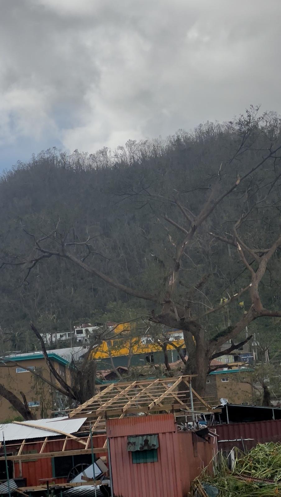 Donate to Restore Lives in Jamaica Post-Hurricane campaign photo, 4 of 8