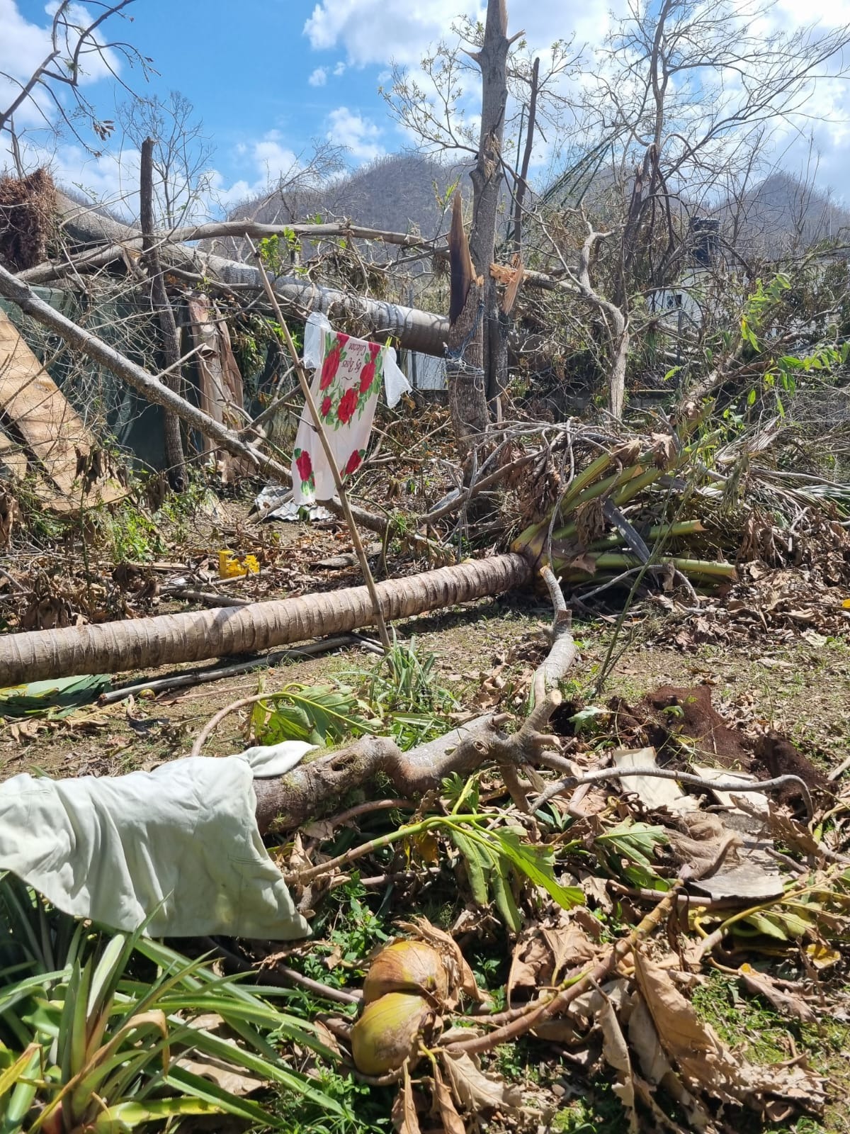 Help My Mom Rebuild After Hurricane Melissa campaign photo, 2 of 5