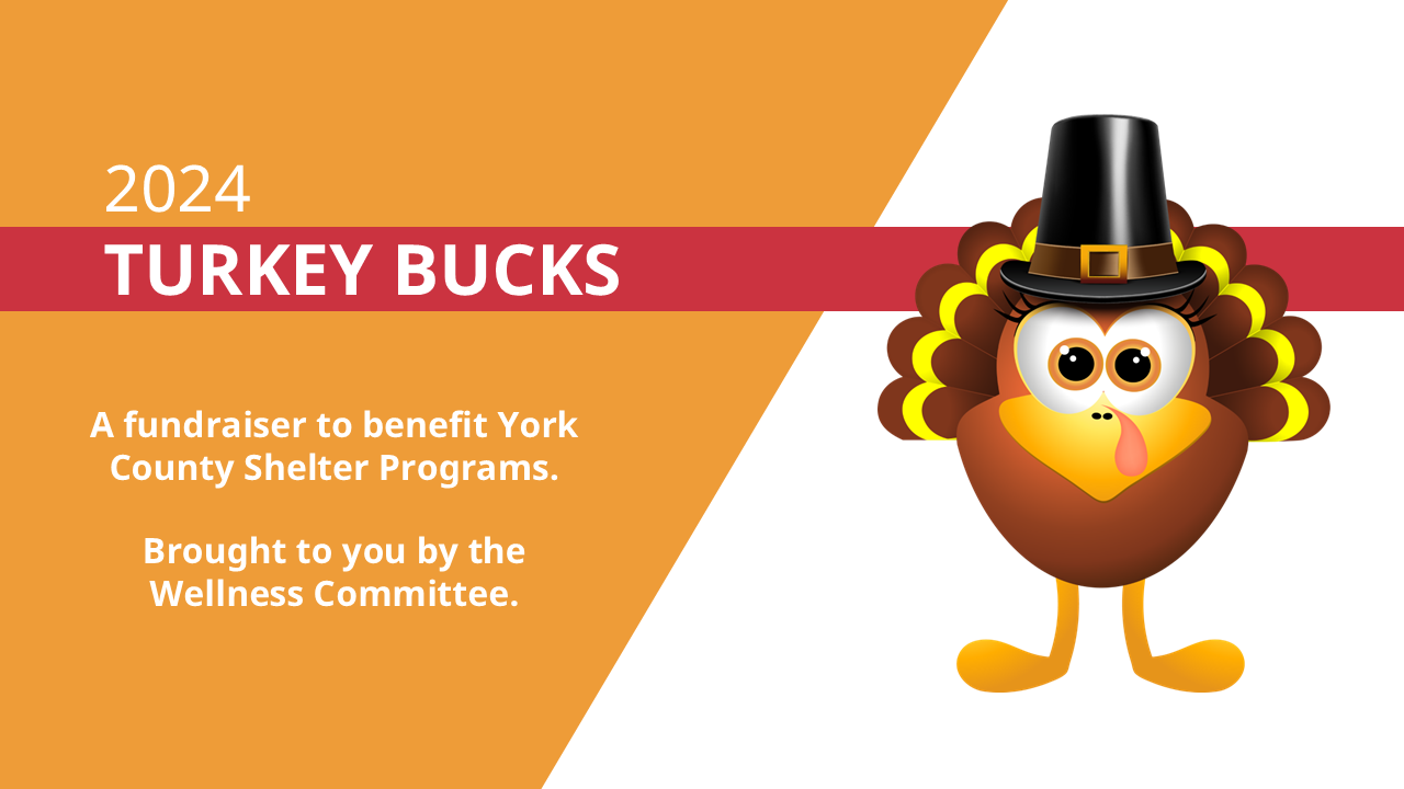 Donate to Feed York County Families on Thanksgiving campaign photo, 2 of 5