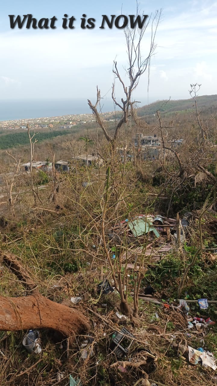 Helping our loved ones & their neighbors in Jamaica. ♡ campaign photo, 2 of 4