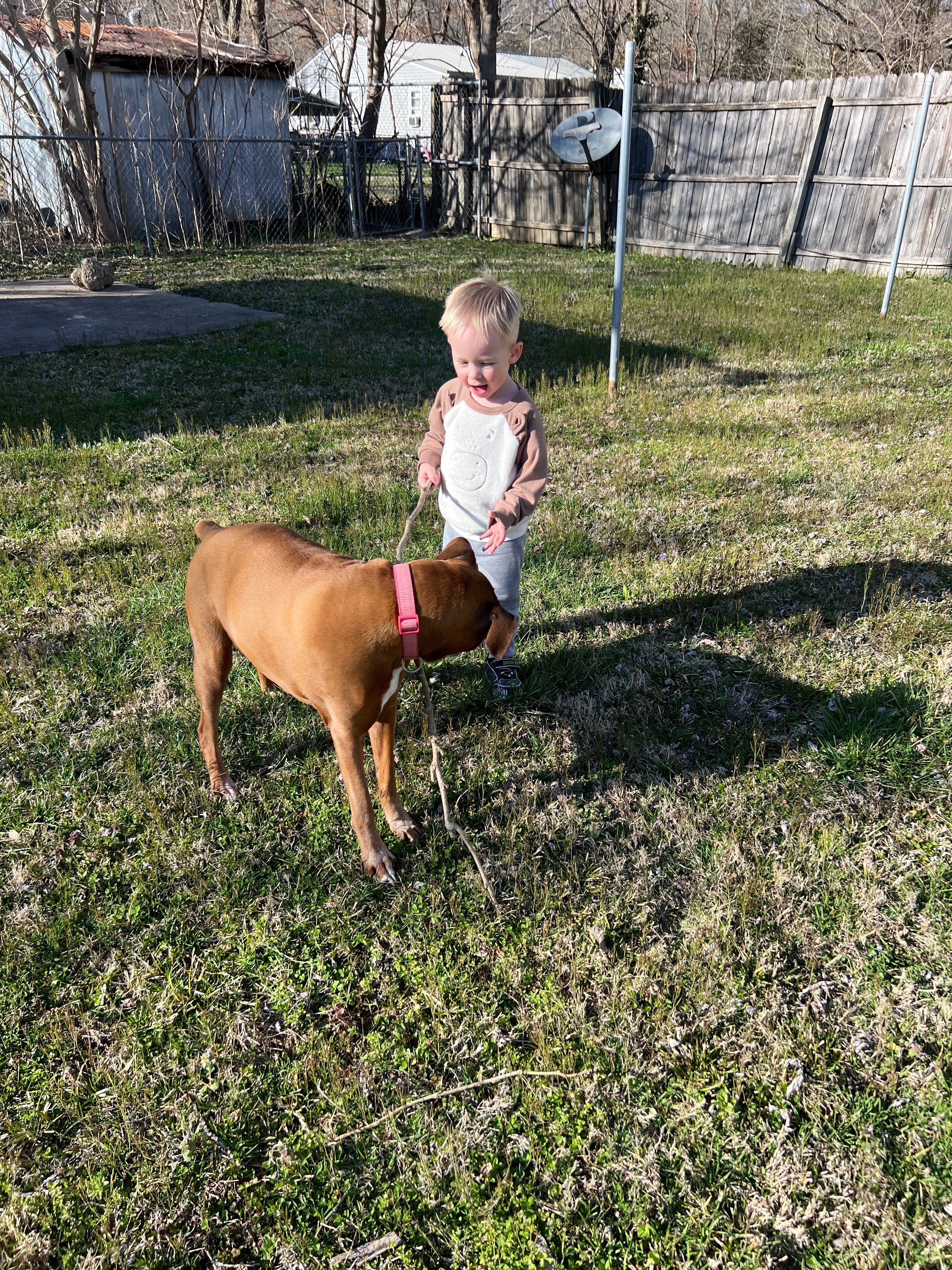 Support Ellie's Tumor Removal Surgery campaign photo, 4 of 6